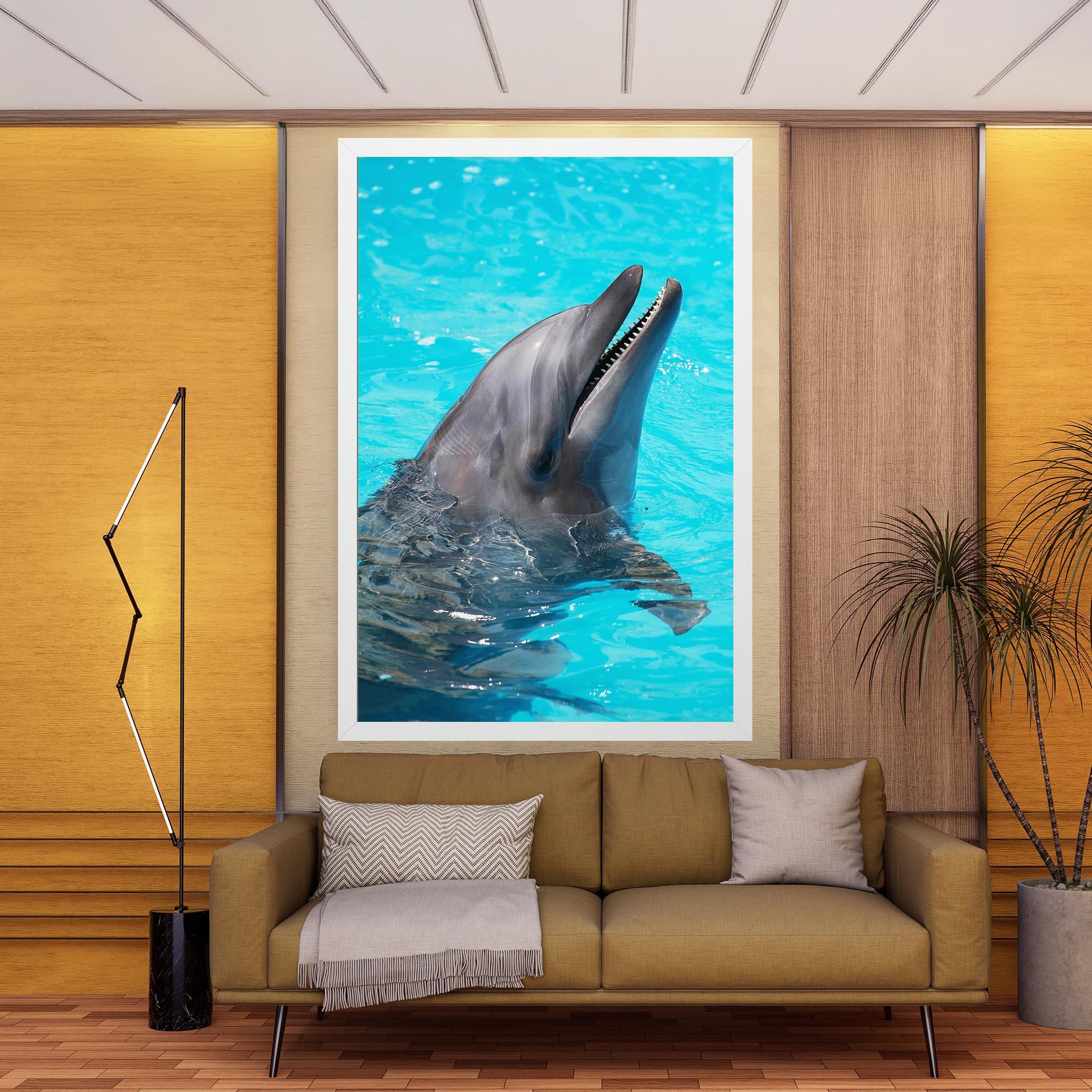 Vászonkép Trained Dolphin mockup 9