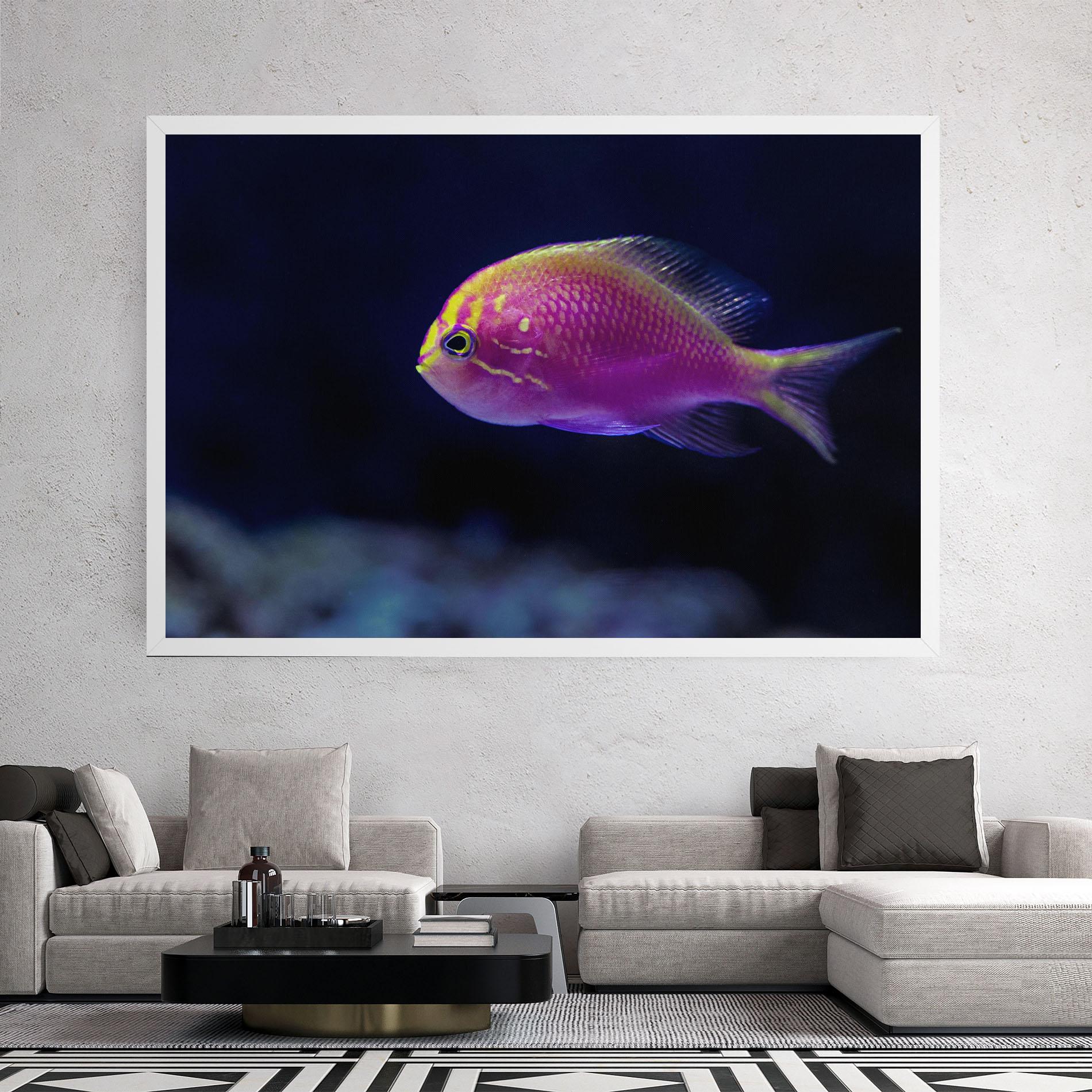 Vászonkép Angry Pink Fish mockup 2