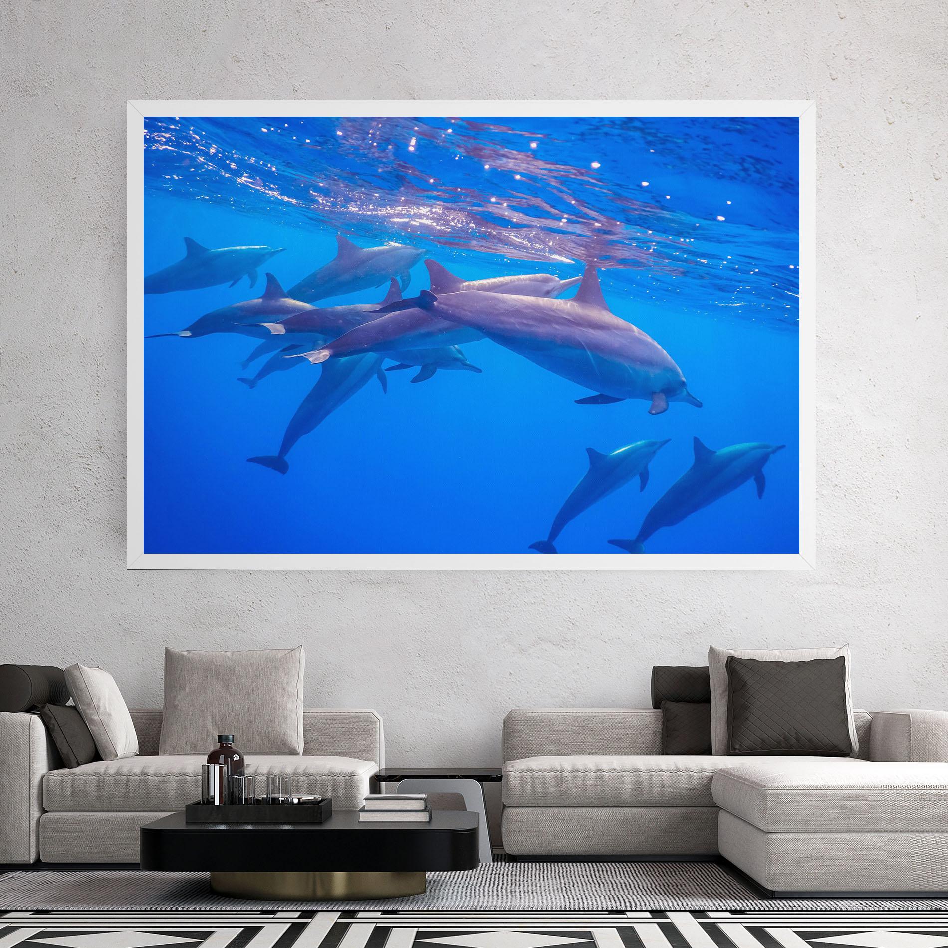 Vászonkép Dolphin Family mockup 2