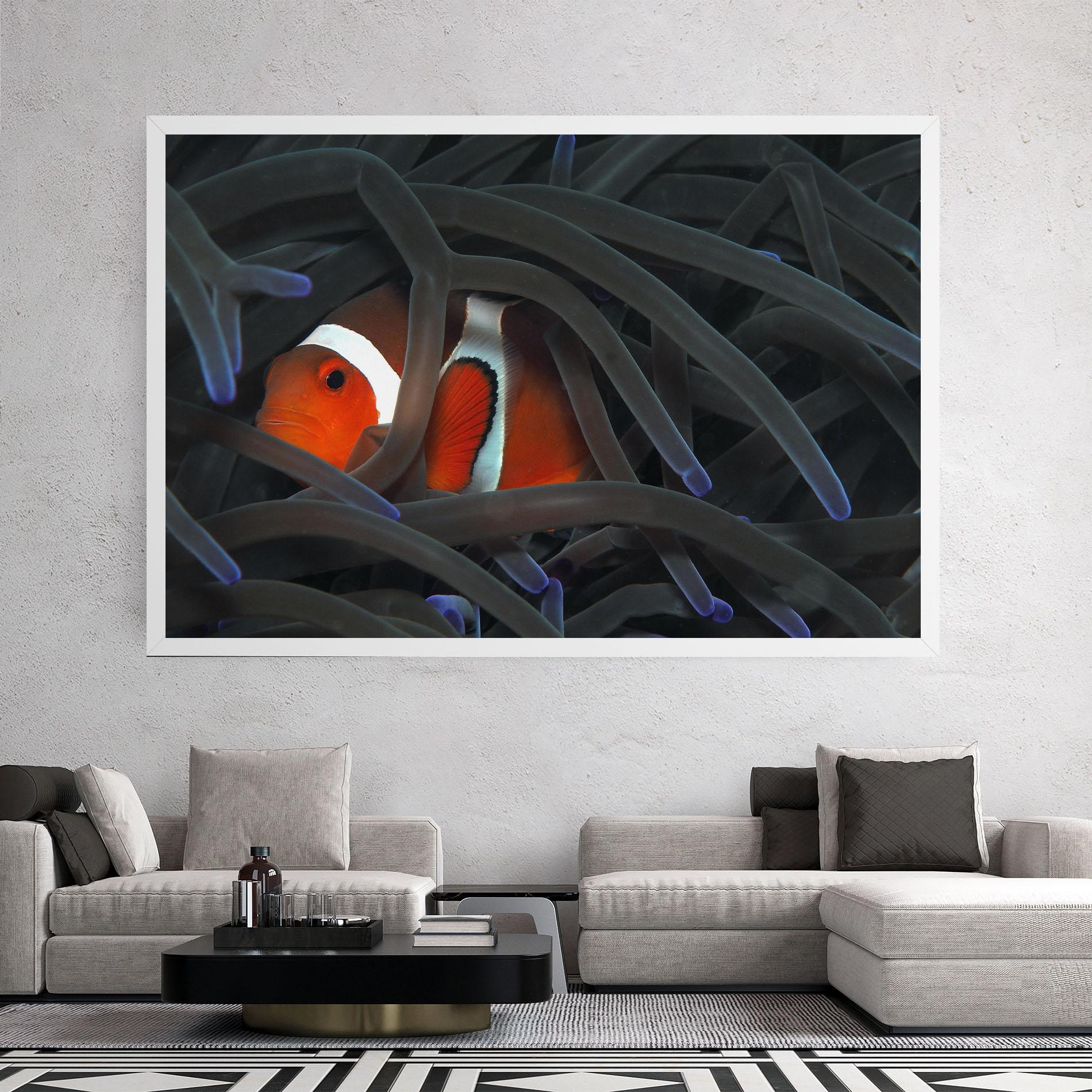 Vászonkép Nemo Hiding mockup 2