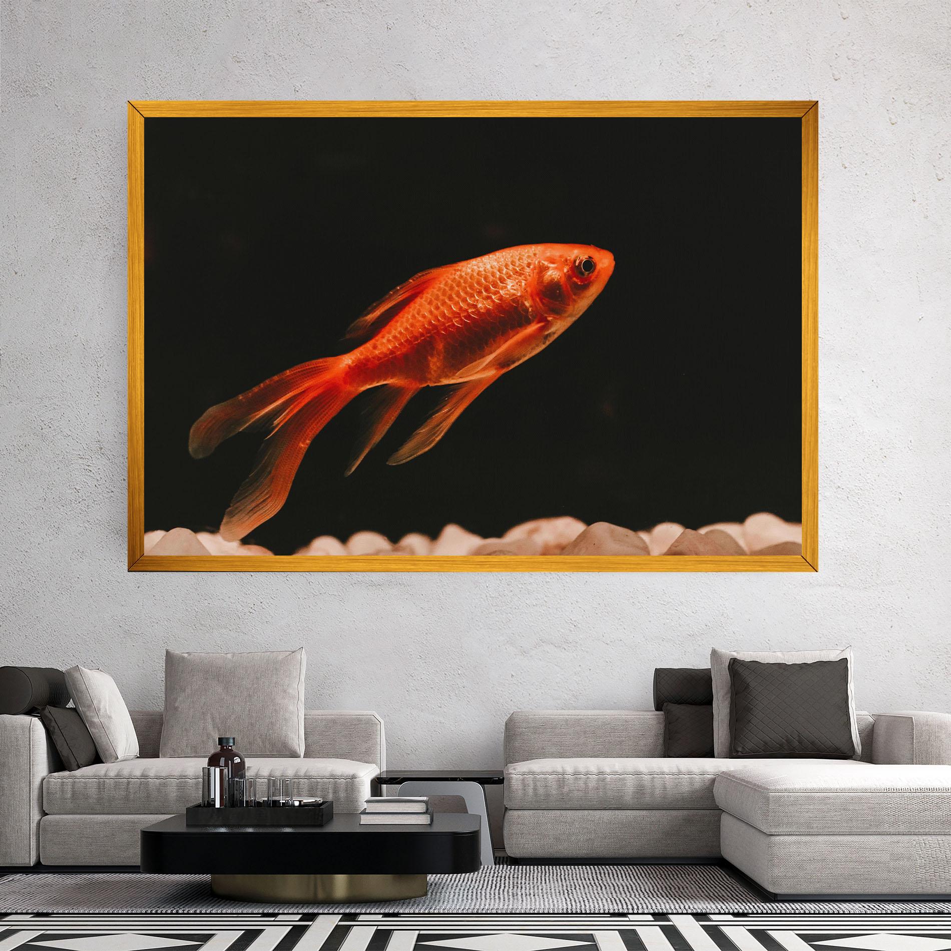 Vászonkép Small Orange Fish mockup 2