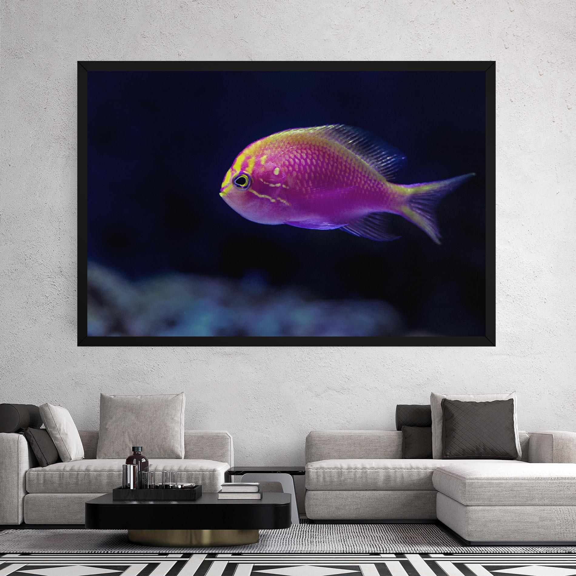 Vászonkép Angry Pink Fish mockup 2
