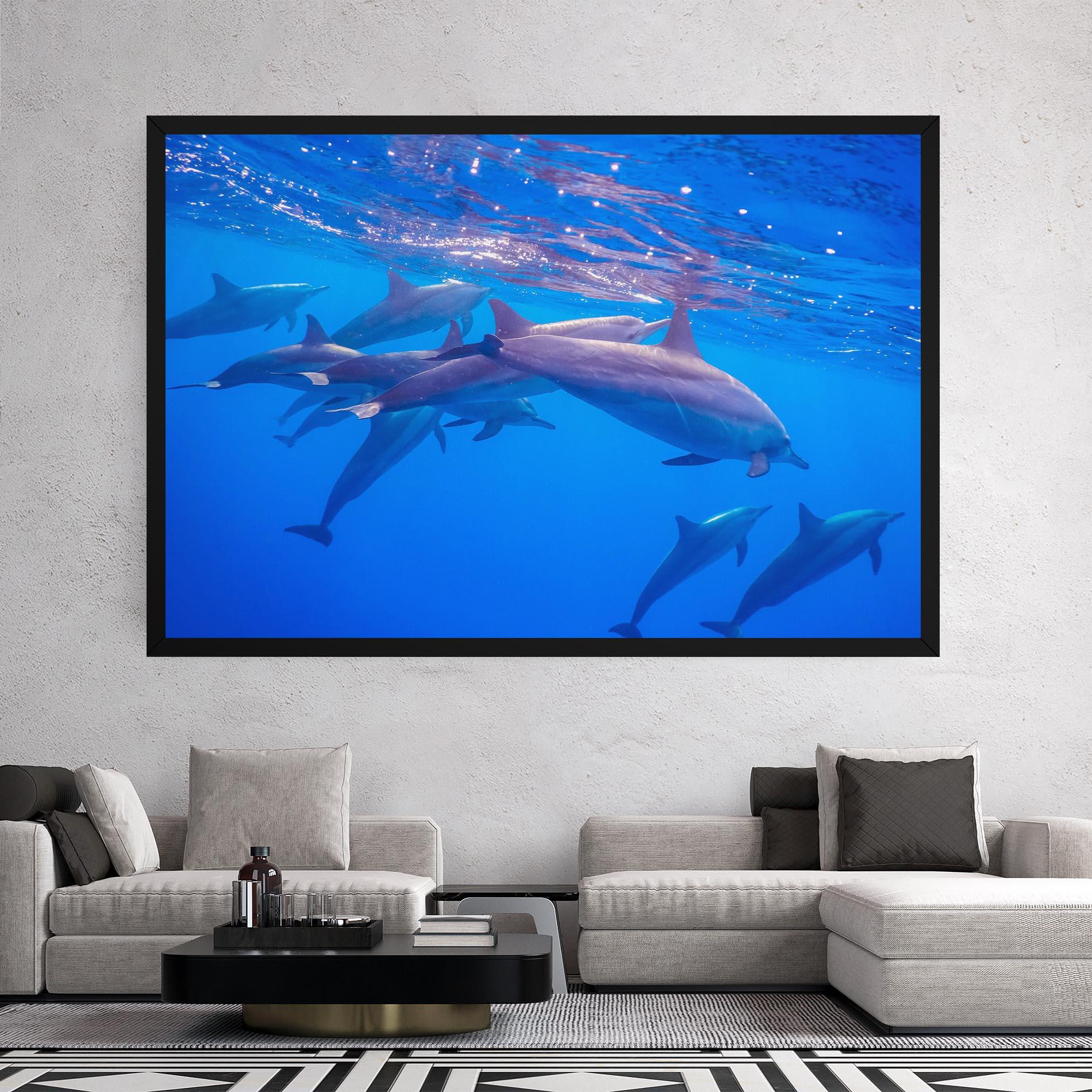 Vászonkép Dolphin Family mockup 2
