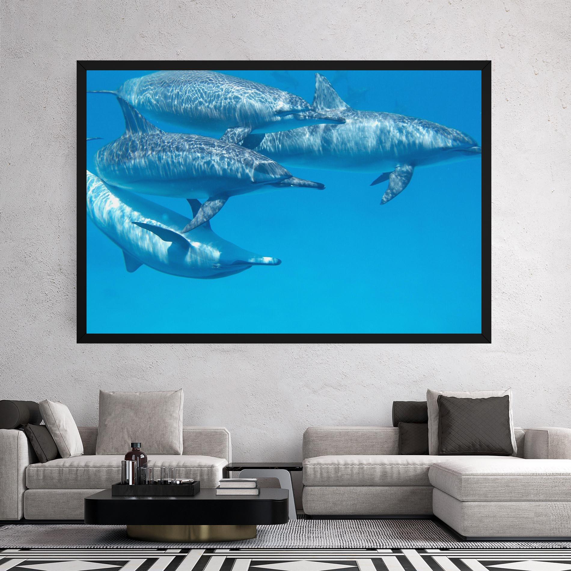Vászonkép Family Of Dolphins mockup 2