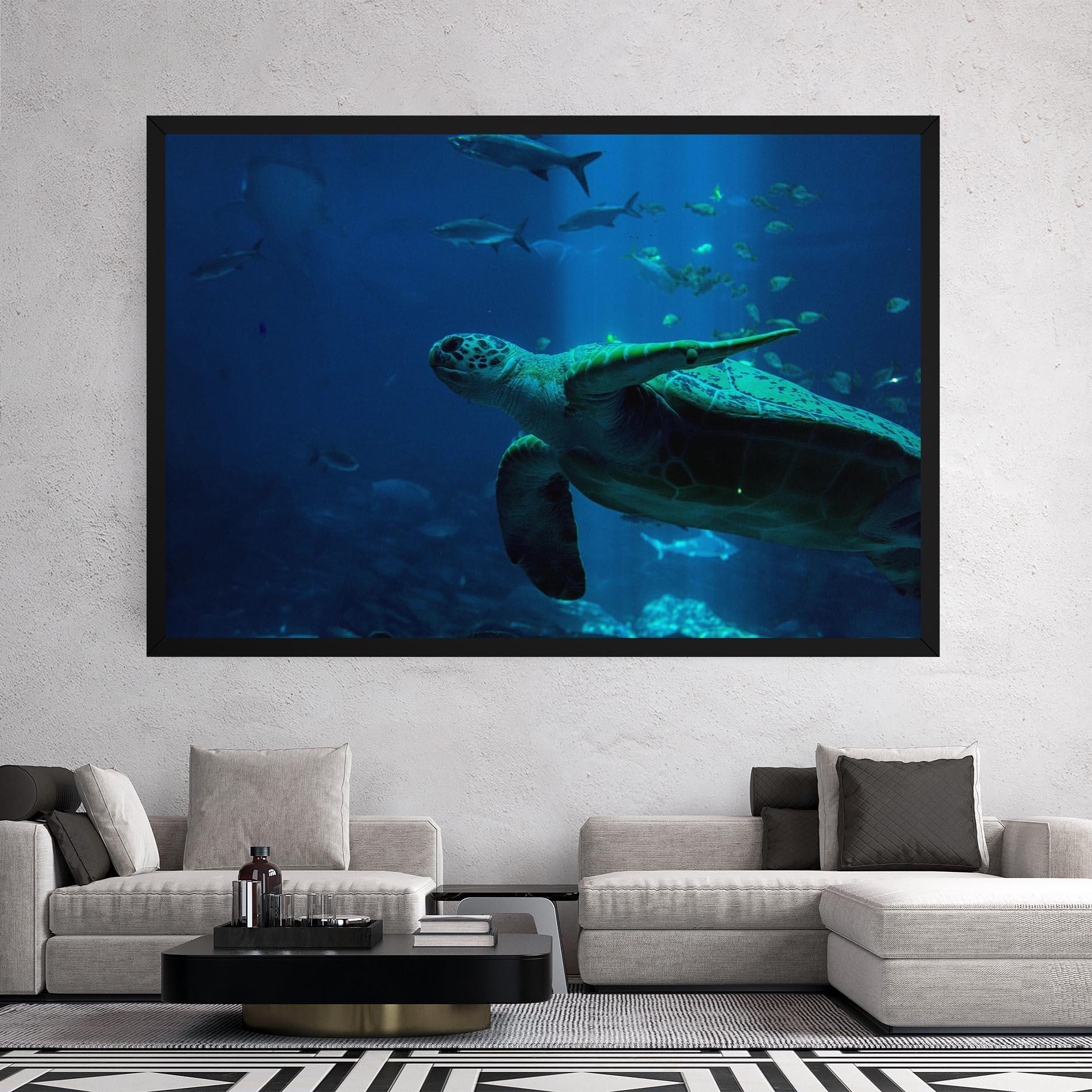 Vászonkép Green Turtule mockup 2