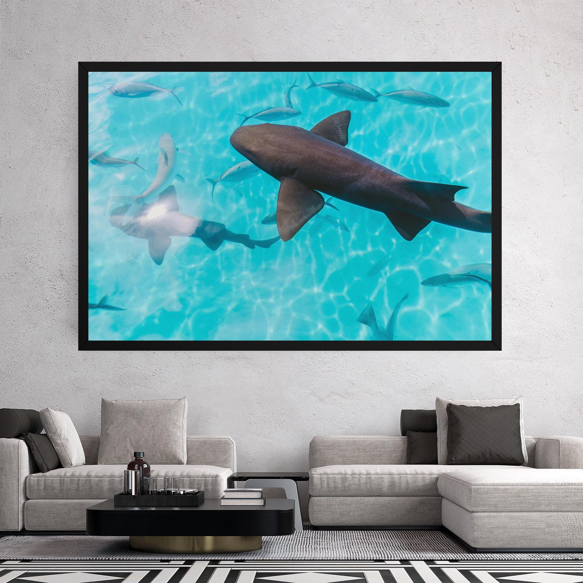 Vászonkép Pretty Shark mockup 2