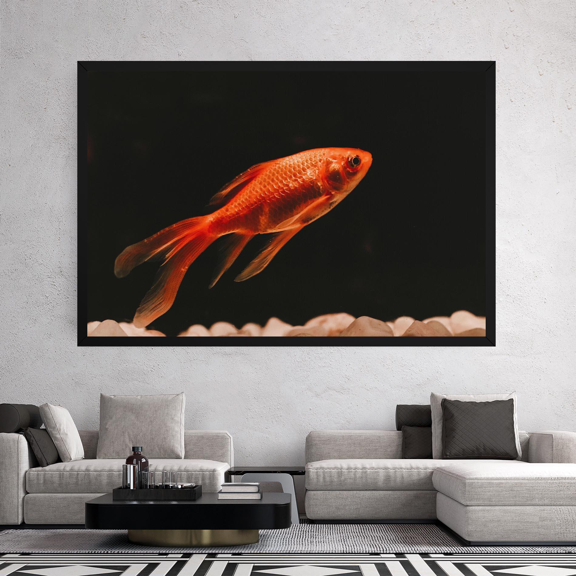 Vászonkép Small Orange Fish mockup 2