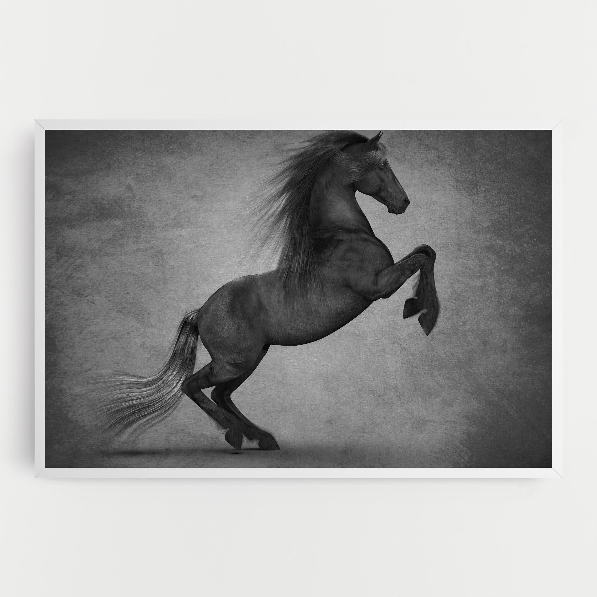 Vászonkép Black Horse Jumping mockup 0