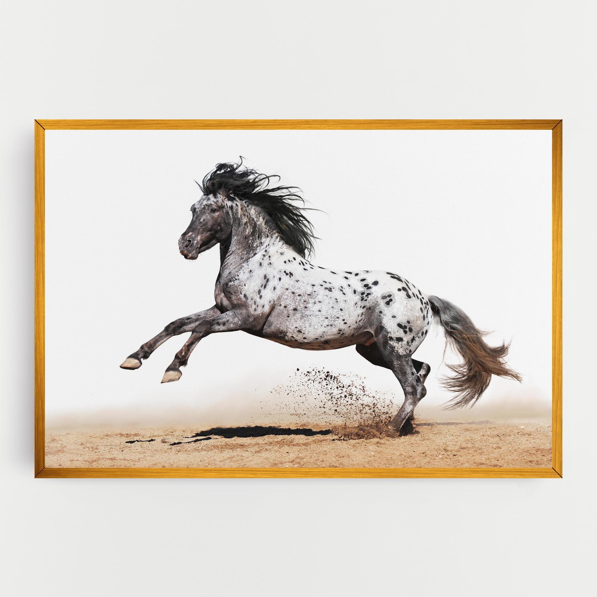 Vászonkép Appaloosa Horse Running mockup 0