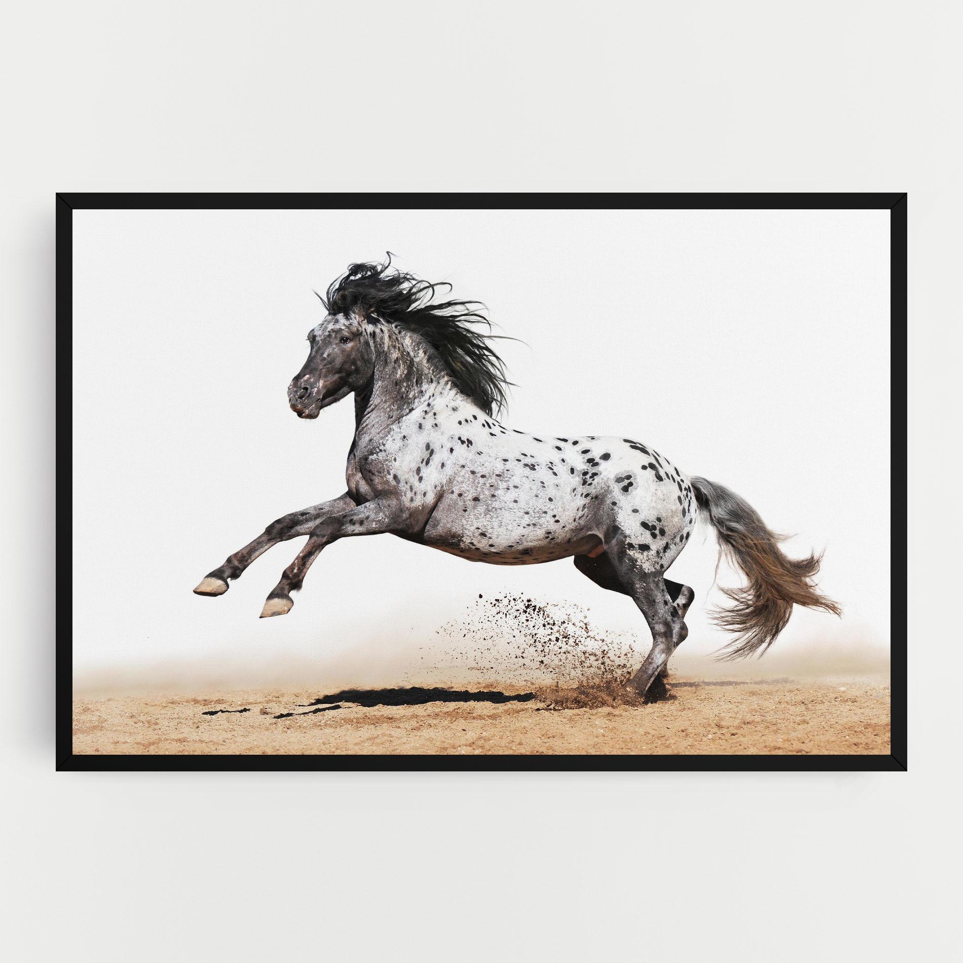 Vászonkép Appaloosa Horse Running mockup 0