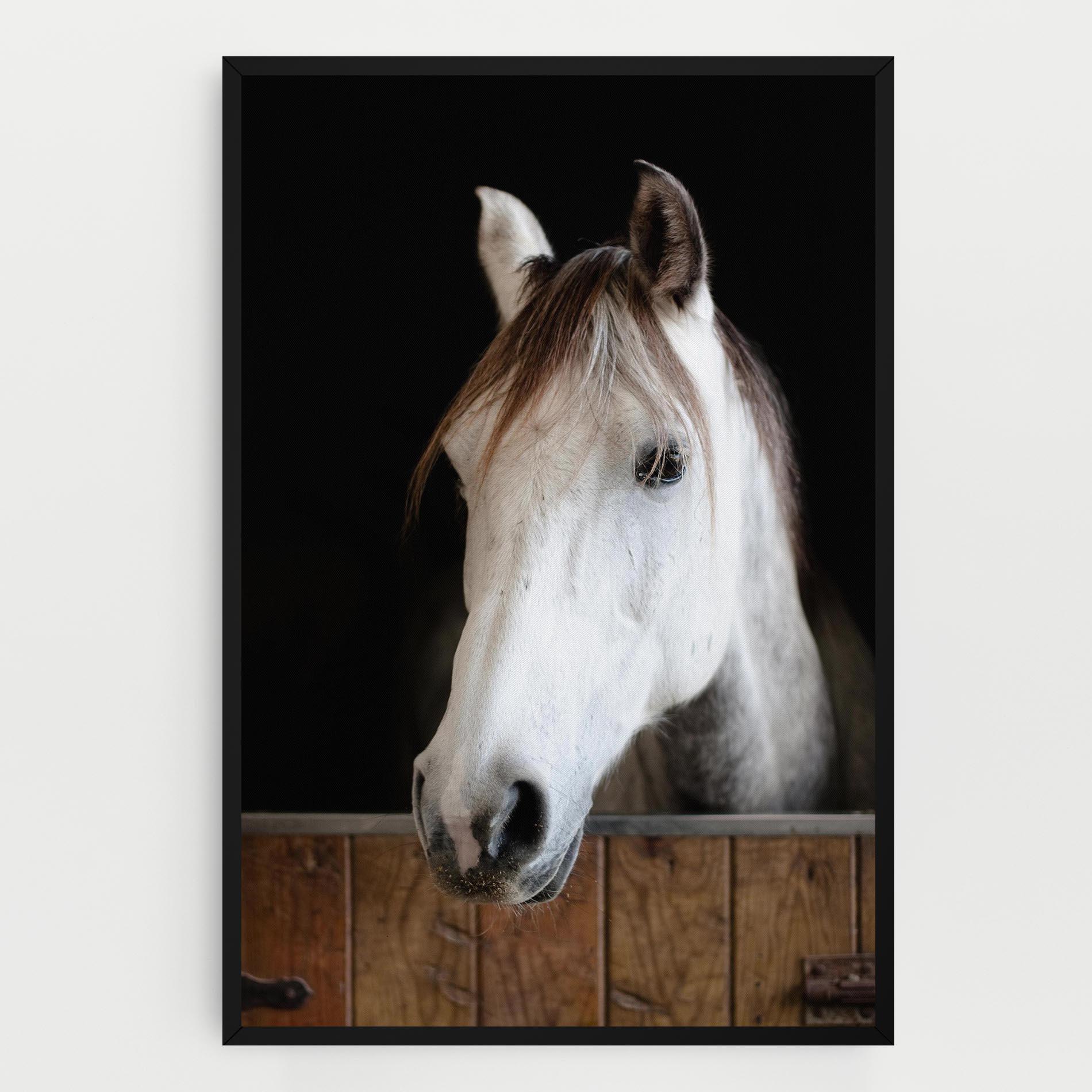 Vászonkép Grey Horse Head mockup 0
