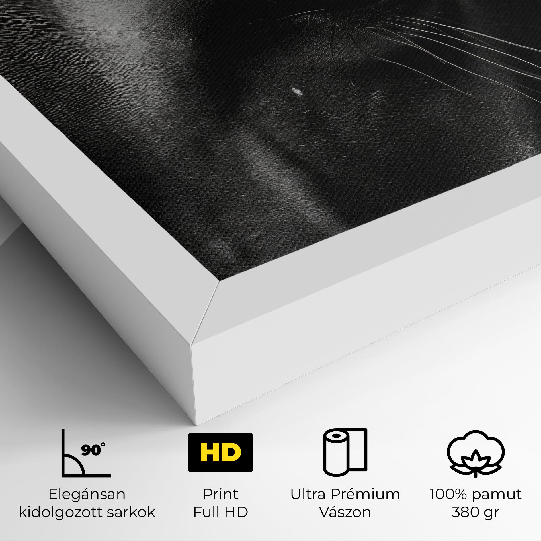 Vászonkép Black Horse Eye mockup 4