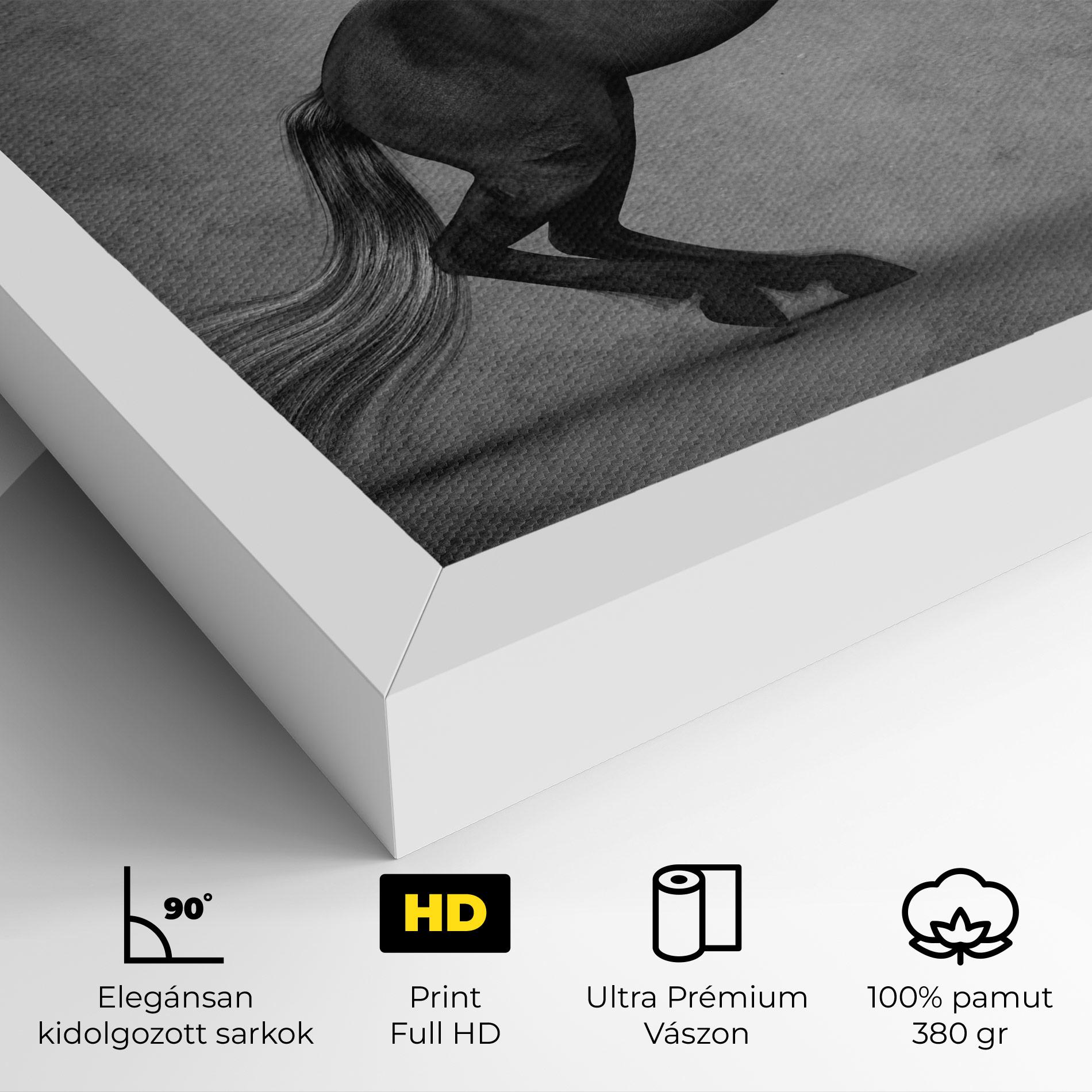 Vászonkép Black Horse Jumping mockup 4