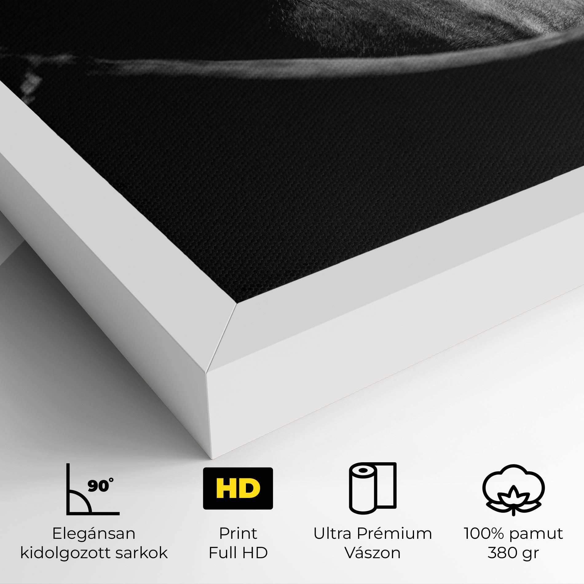 Black Horse Looking mockup 4