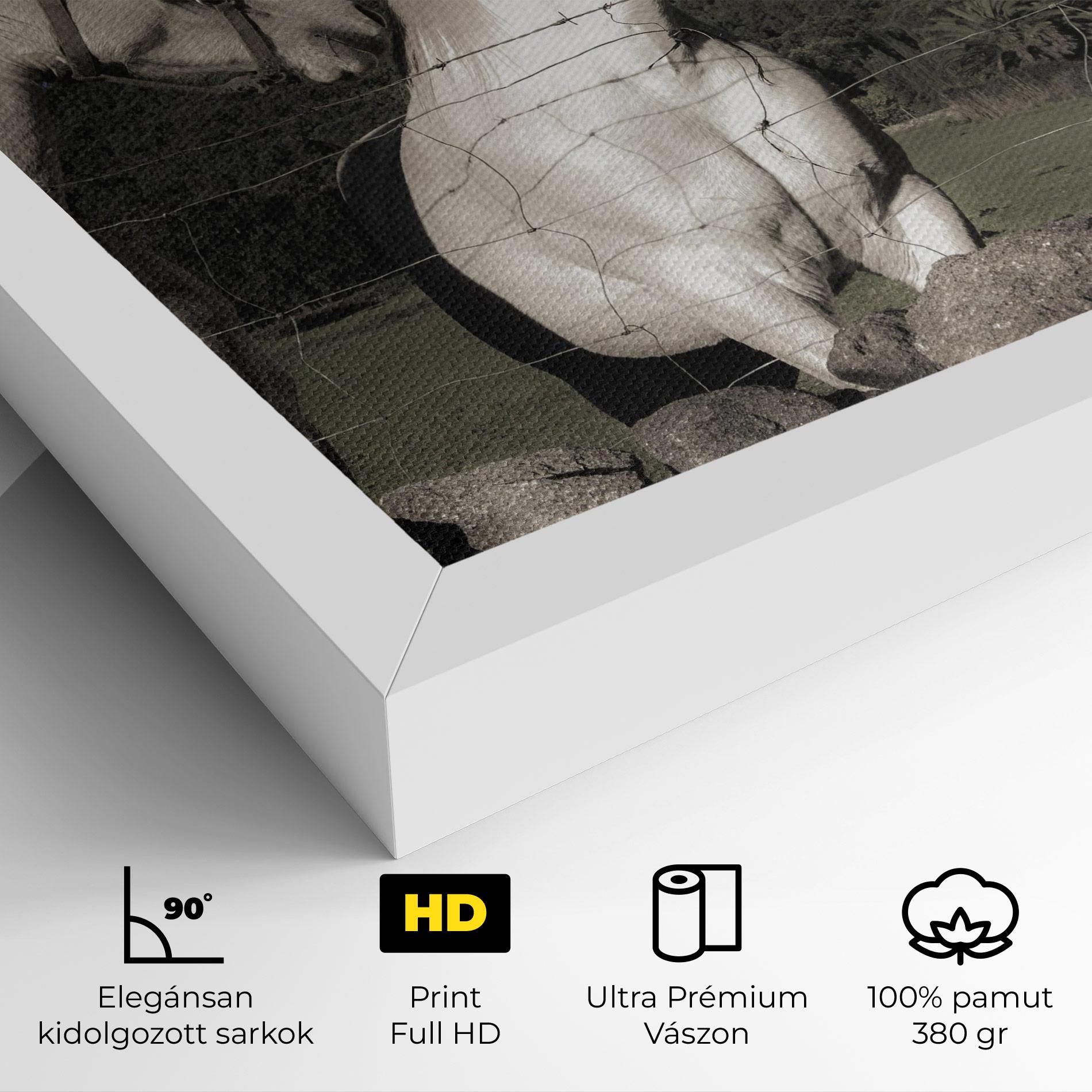 Vászonkép White Grey Horse mockup 4