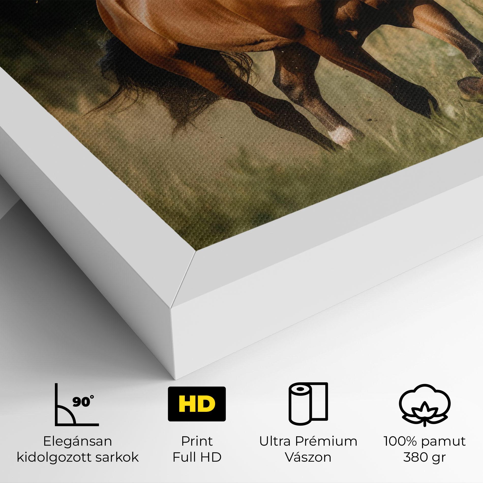 Vászonkép Wild Horse Running mockup 4