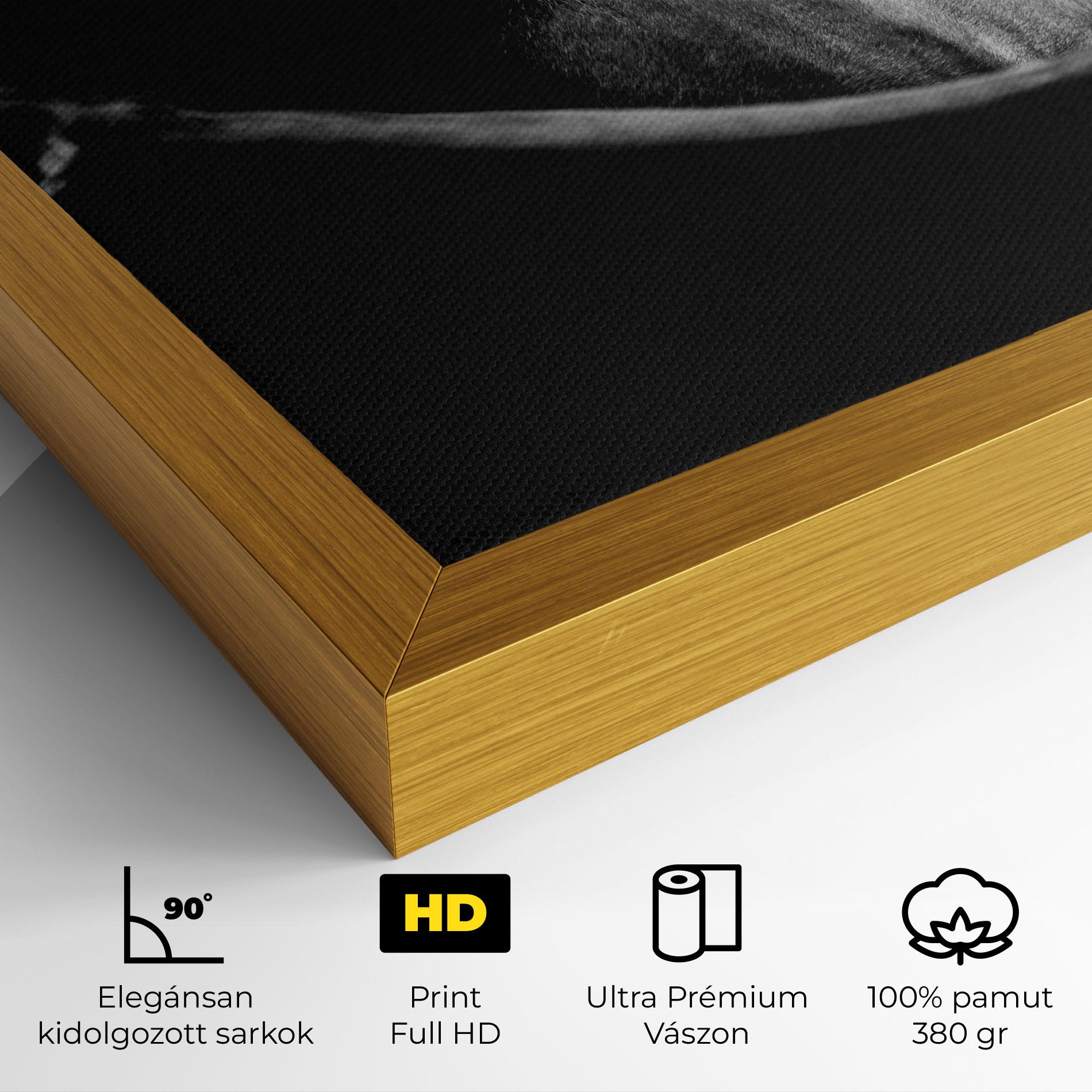 Vászonkép Black Horse Looking mockup 4