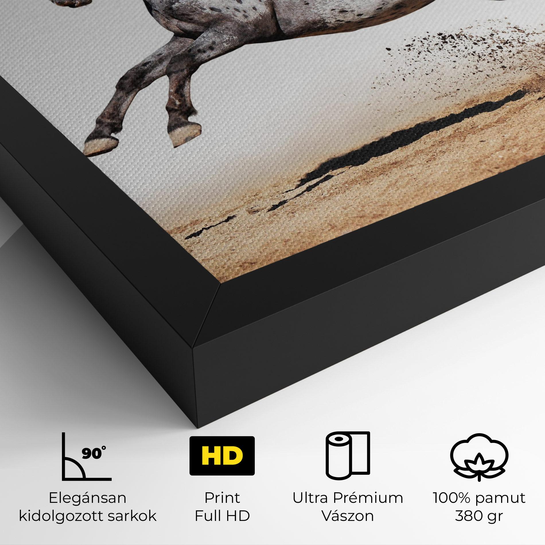 Vászonkép Appaloosa Horse Running mockup 4