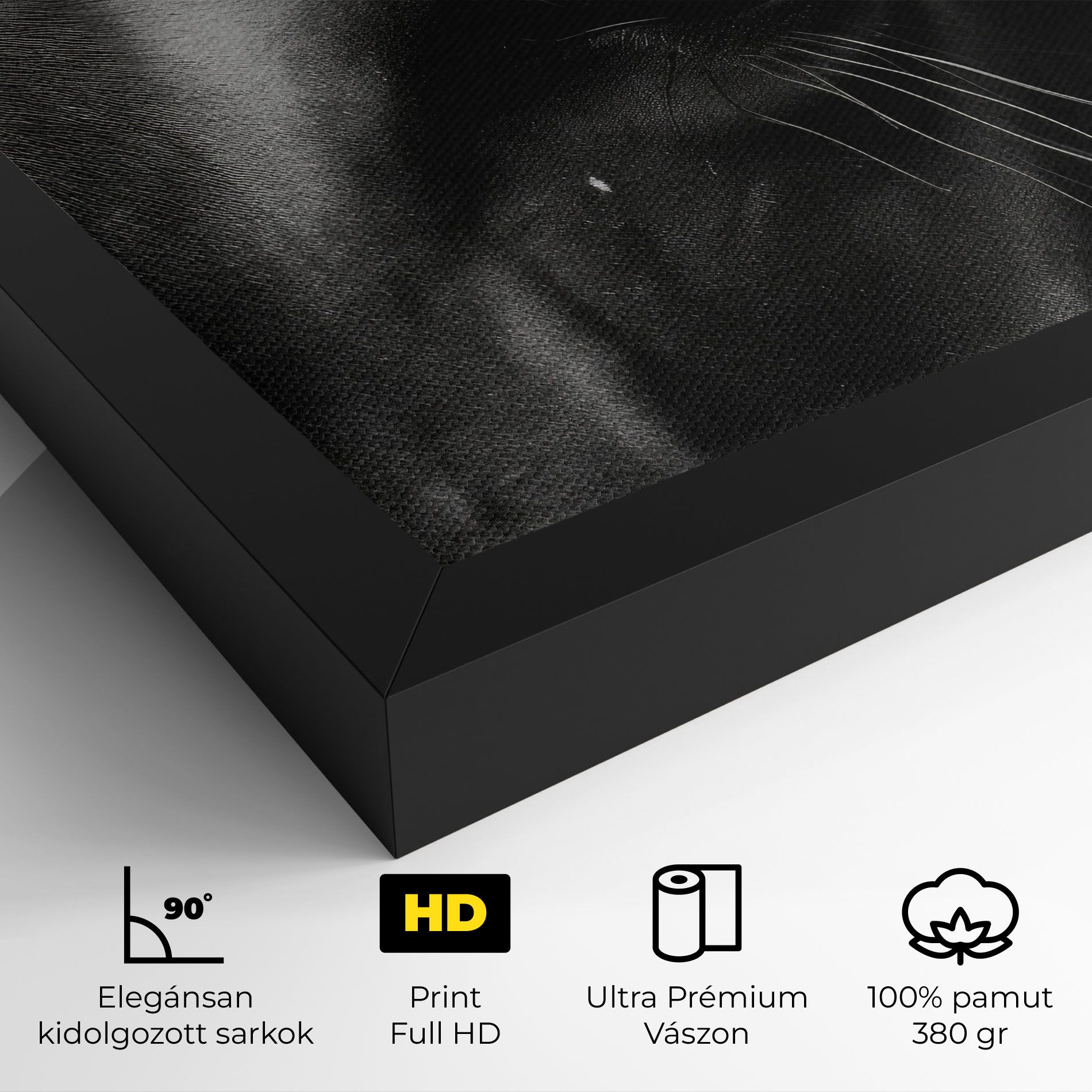 Black Horse Eye mockup 4