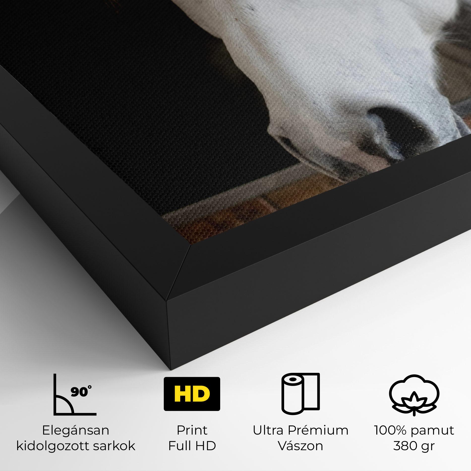 Vászonkép Grey Horse Head mockup 4