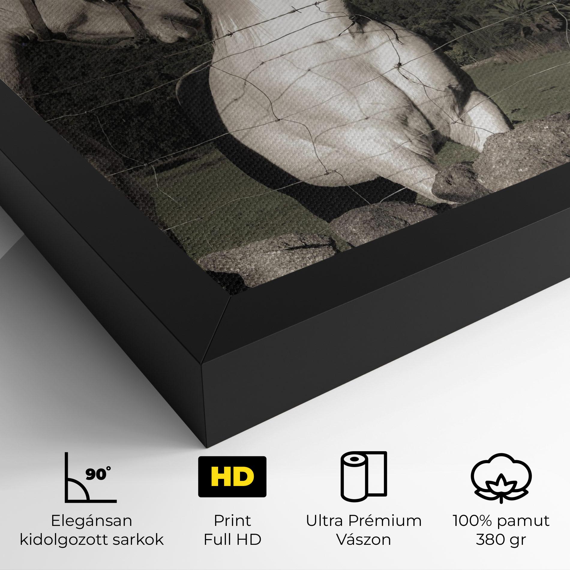 Vászonkép White Grey Horse mockup 4