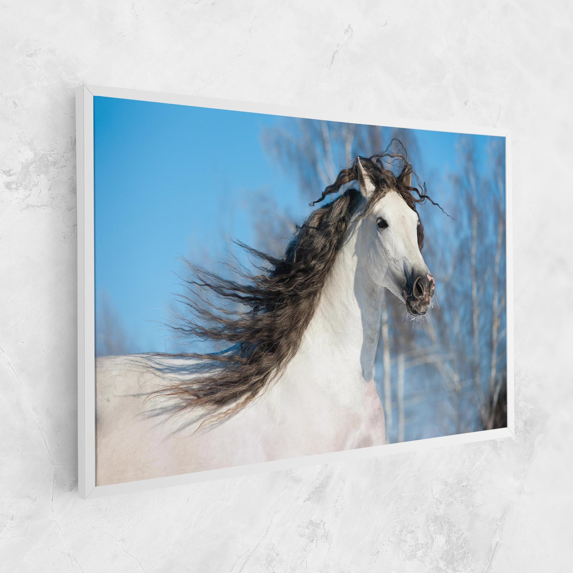 Vászonkép Wild Black Hair Horse mockup 1