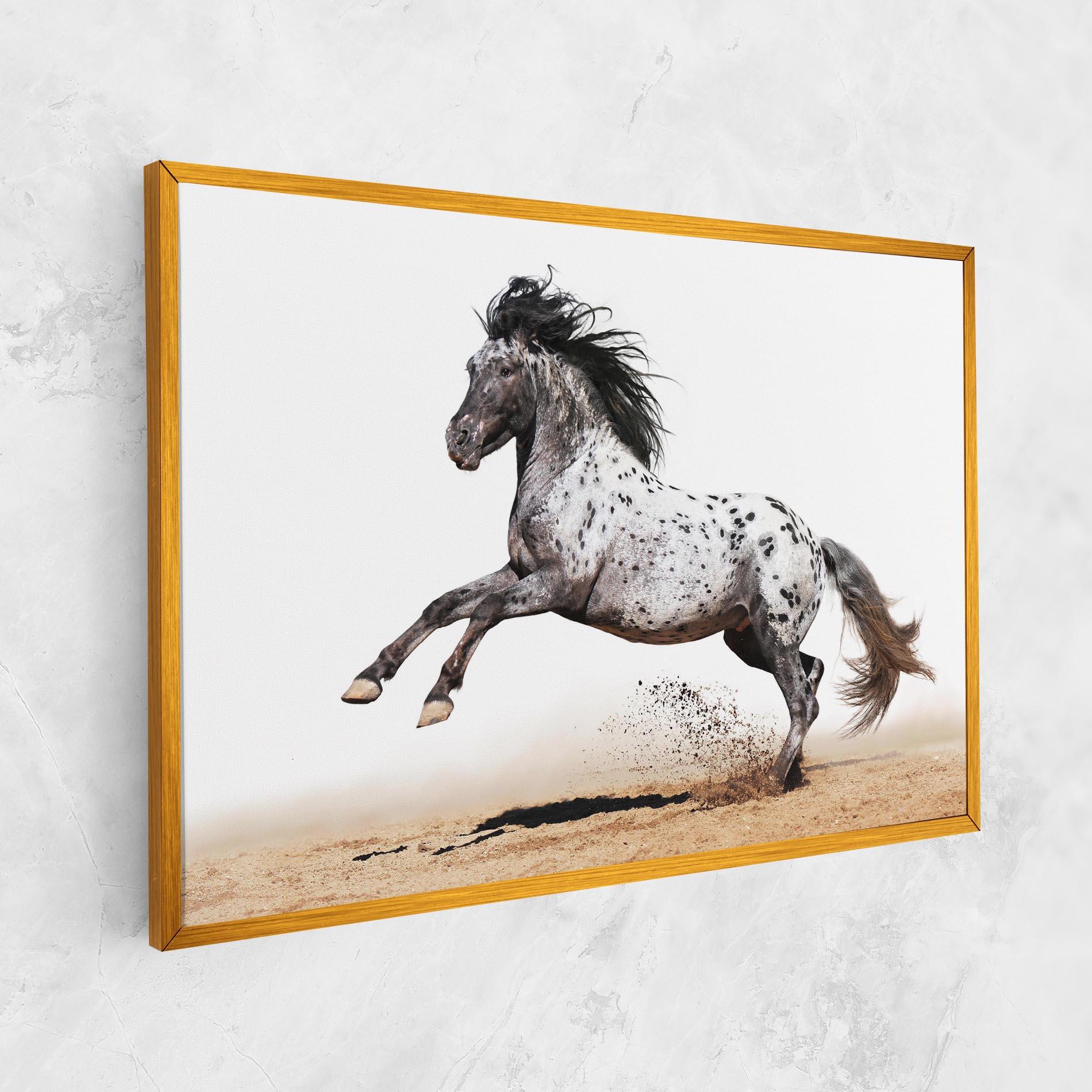 Vászonkép Appaloosa Horse Running mockup 1