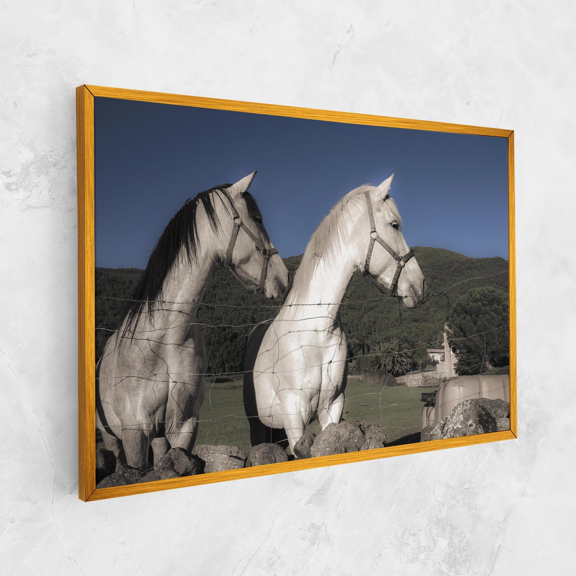 Vászonkép White Grey Horse mockup 1