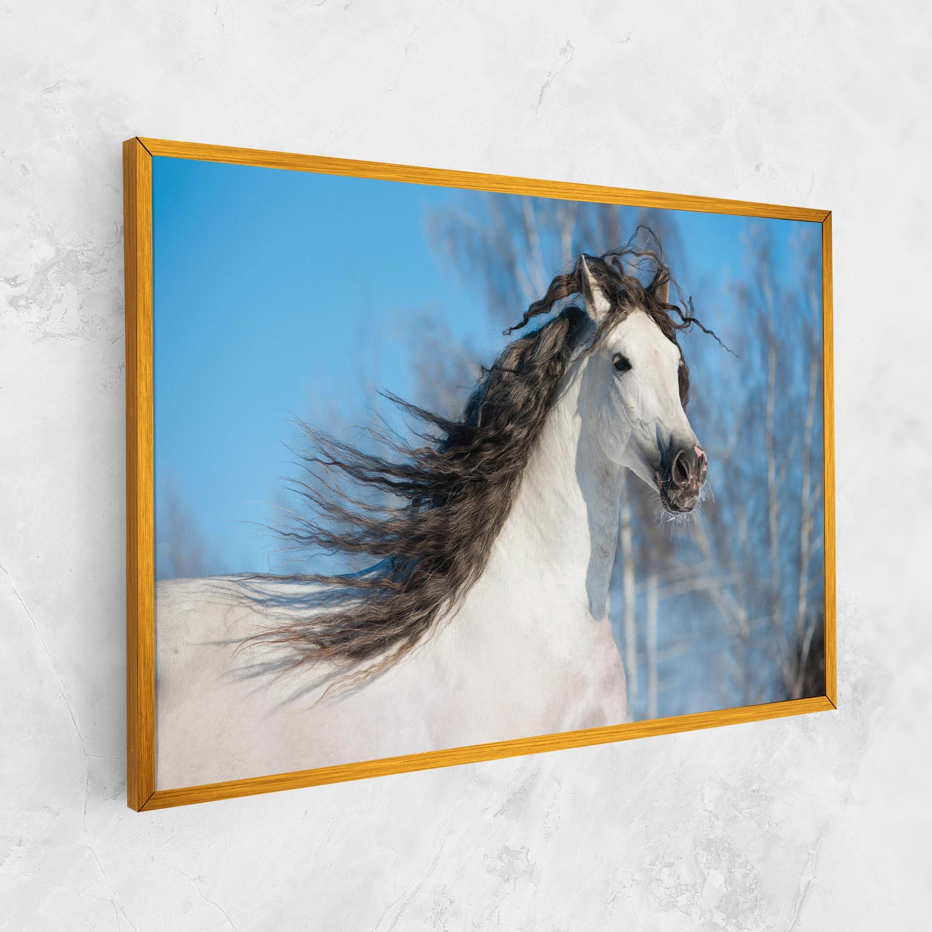 Vászonkép Wild Black Hair Horse mockup 1