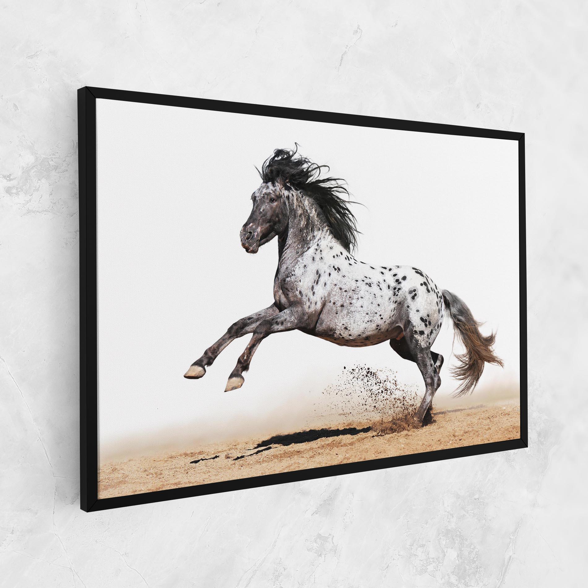 Vászonkép Appaloosa Horse Running mockup 1