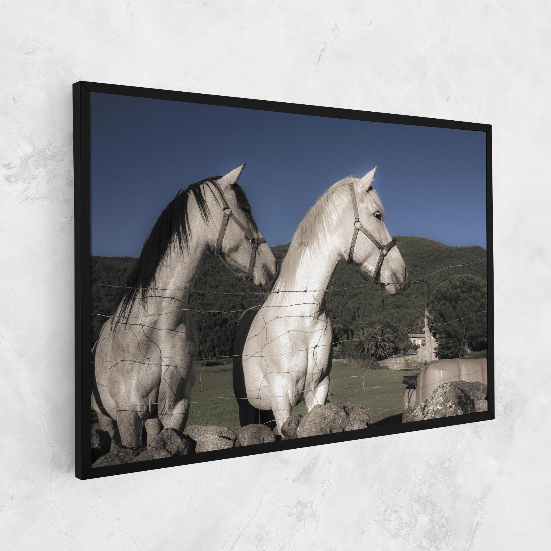 Vászonkép White Grey Horse mockup 1