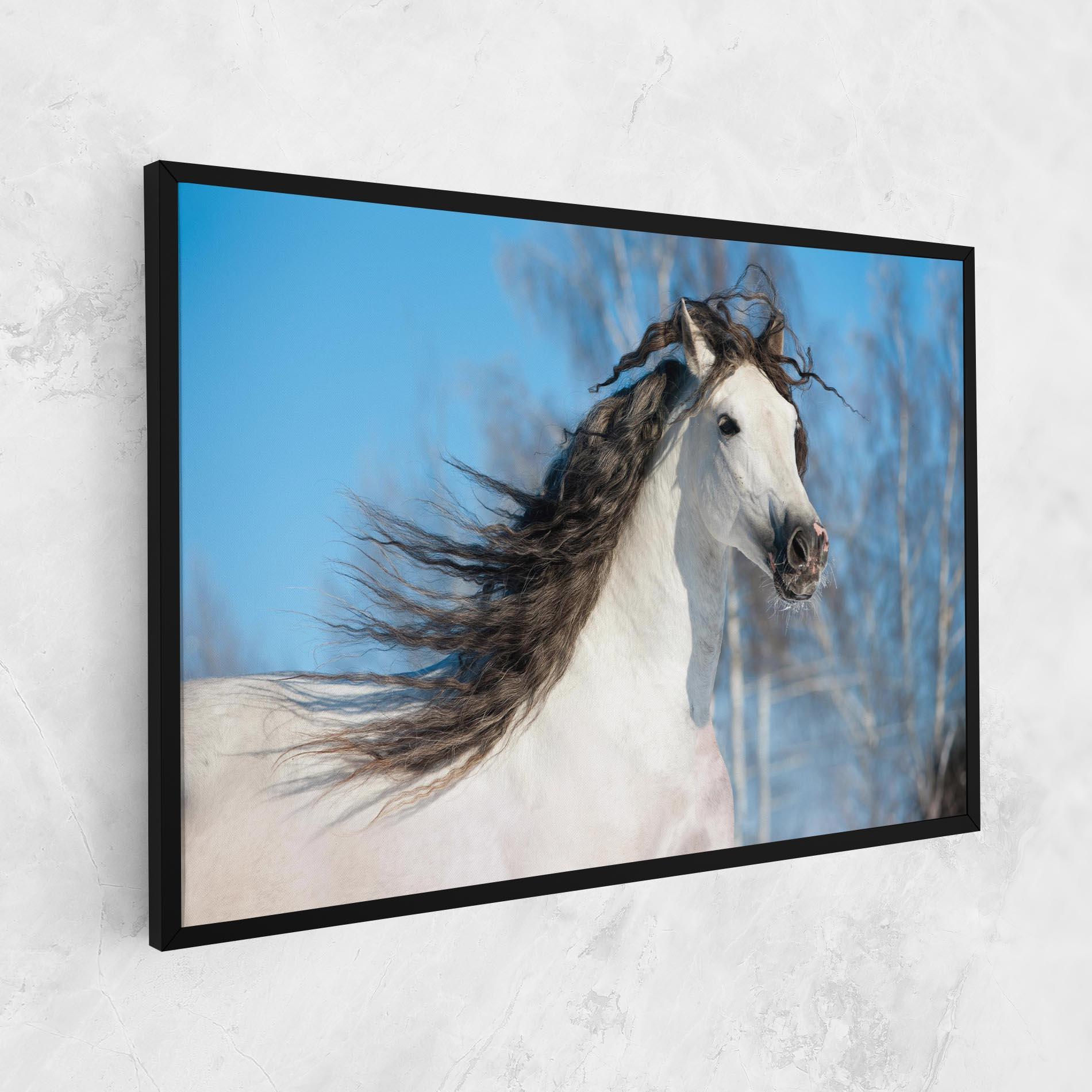 Vászonkép Wild Black Hair Horse mockup 1