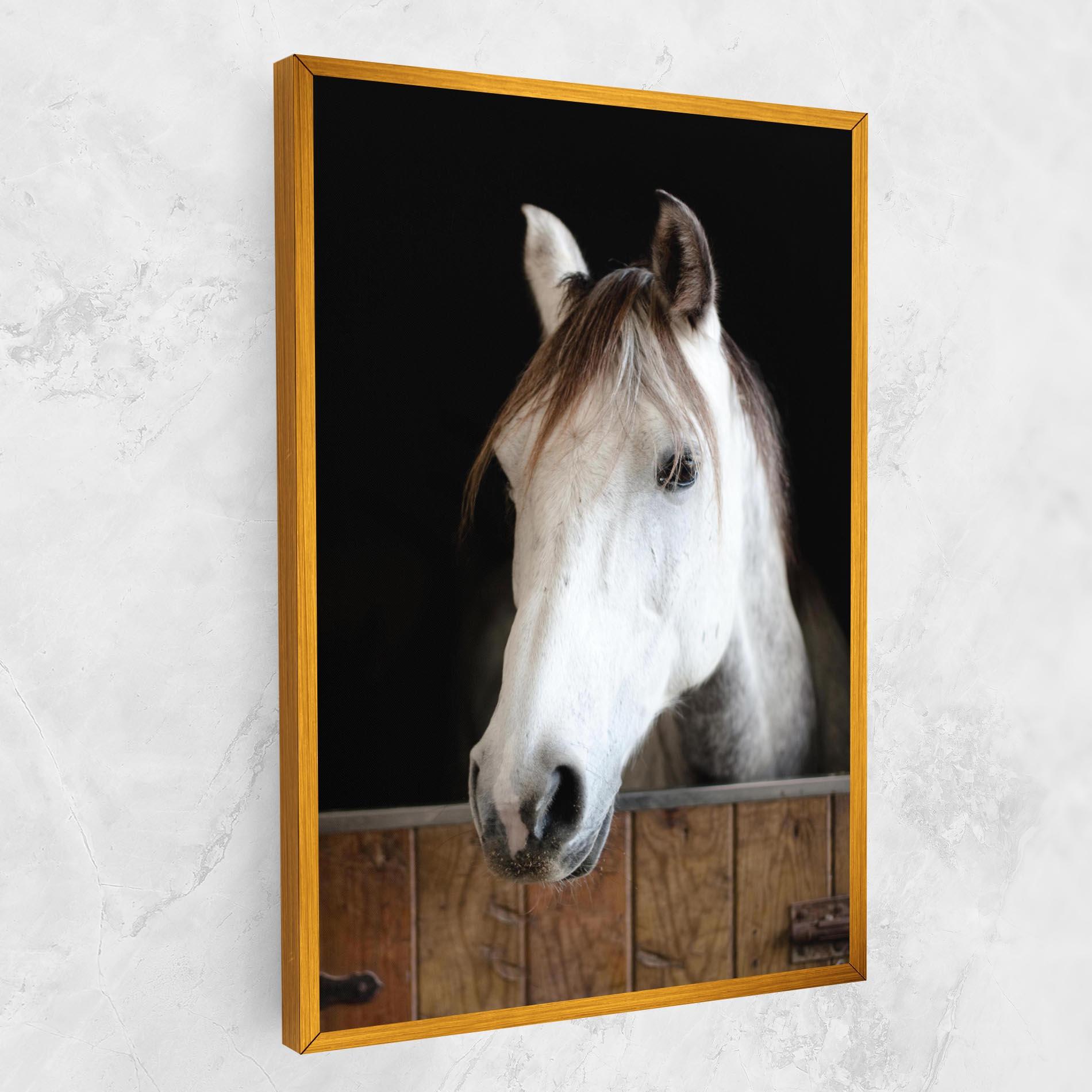 Vászonkép Grey Horse Head mockup 1