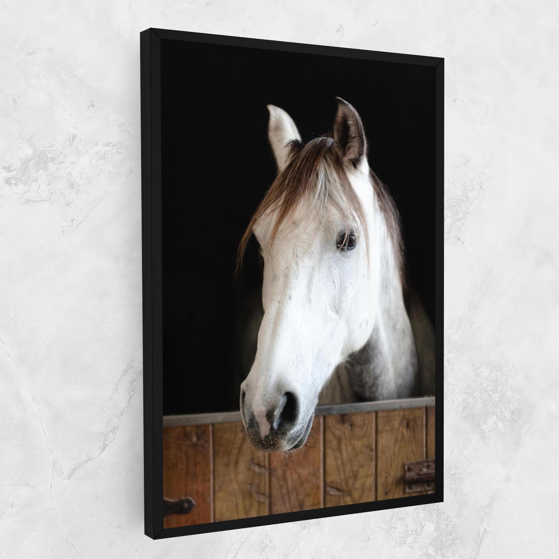 Vászonkép Grey Horse Head mockup 1
