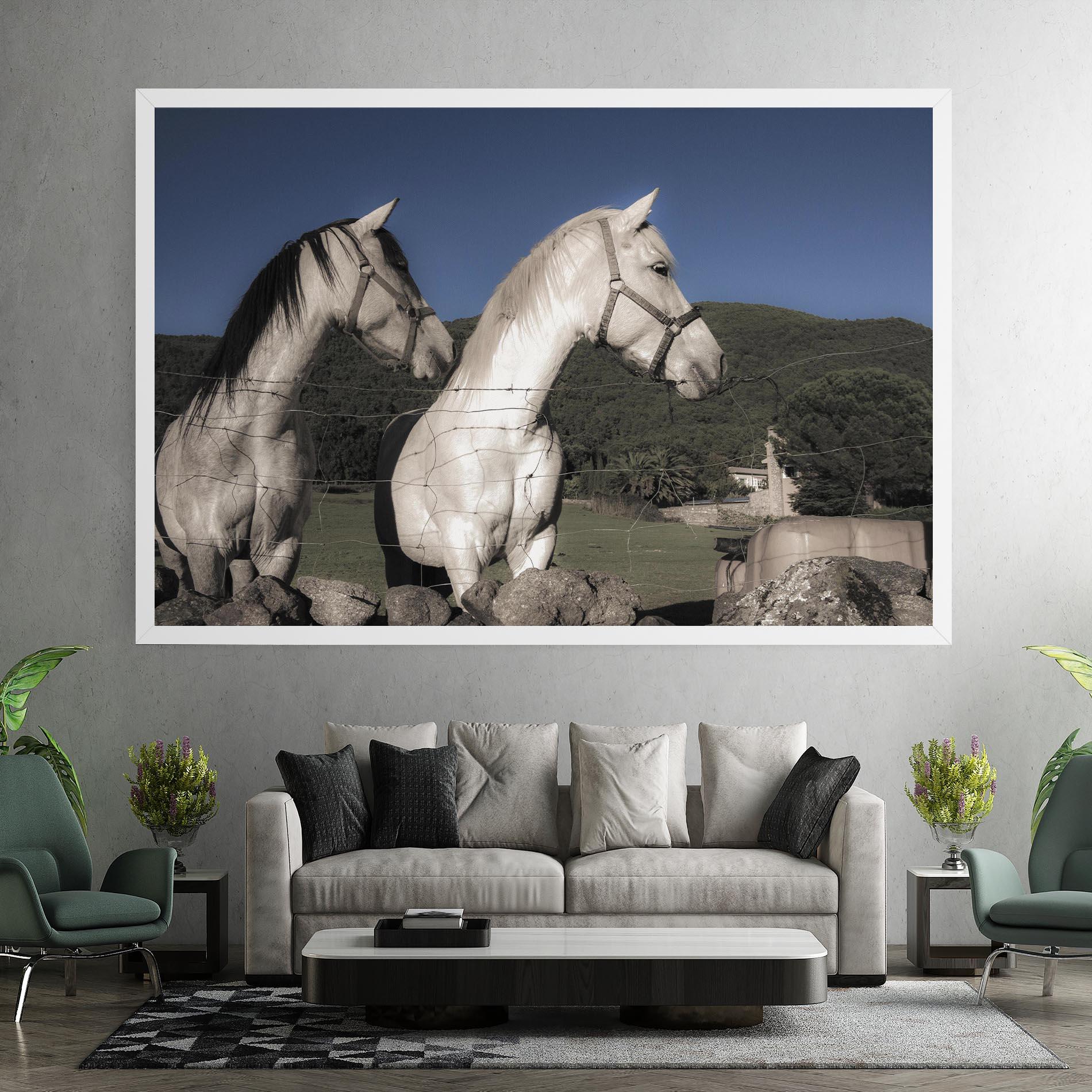 Vászonkép White Grey Horse mockup 7