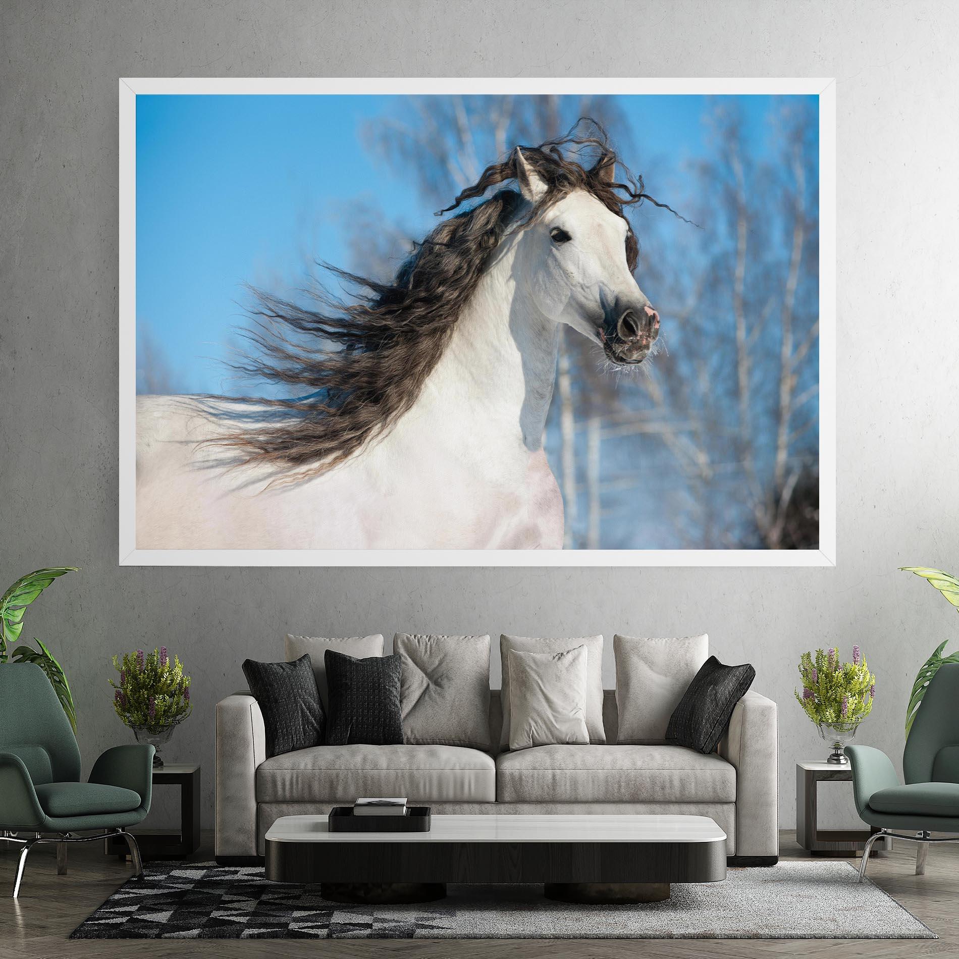 Vászonkép Wild Black Hair Horse mockup 7