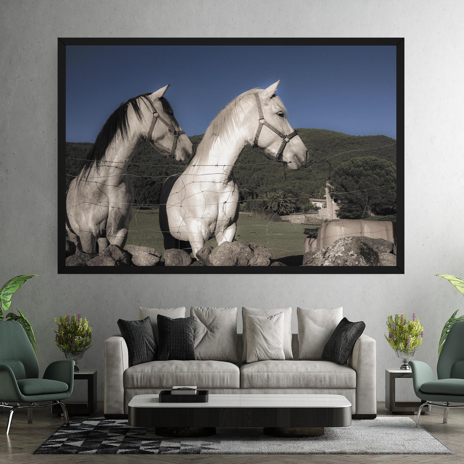 Vászonkép White Grey Horse mockup 7