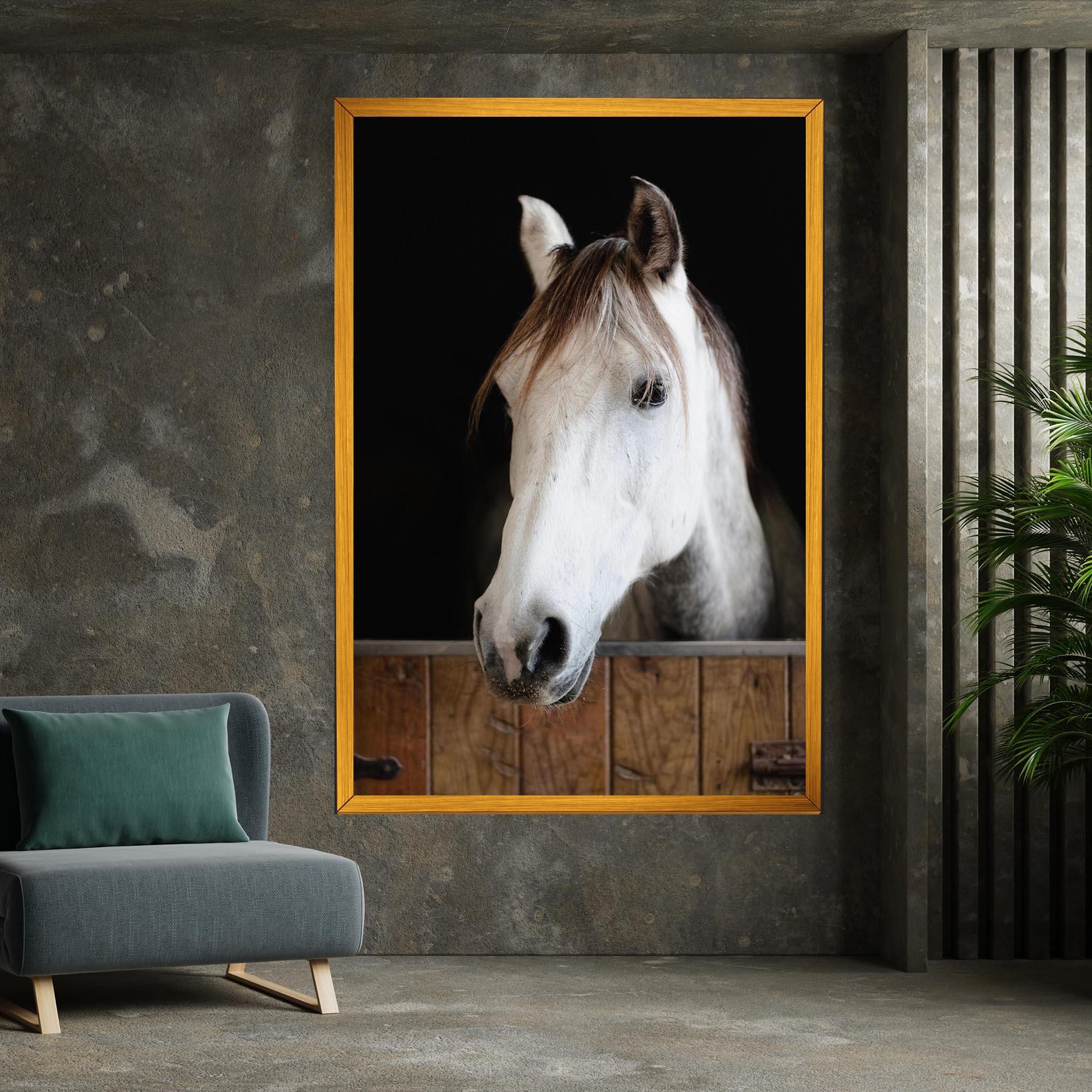 Vászonkép Grey Horse Head mockup 7