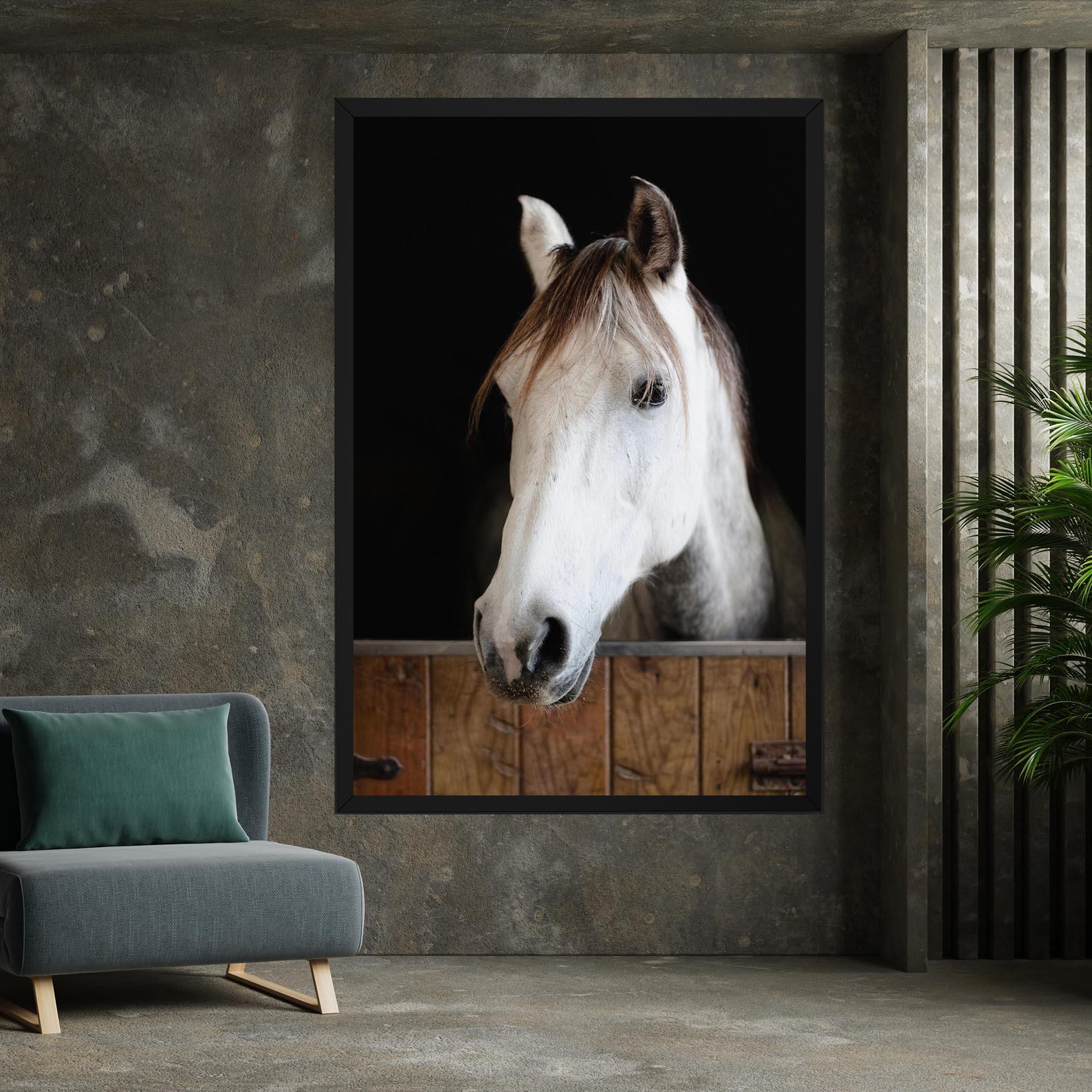 Vászonkép Grey Horse Head mockup 7