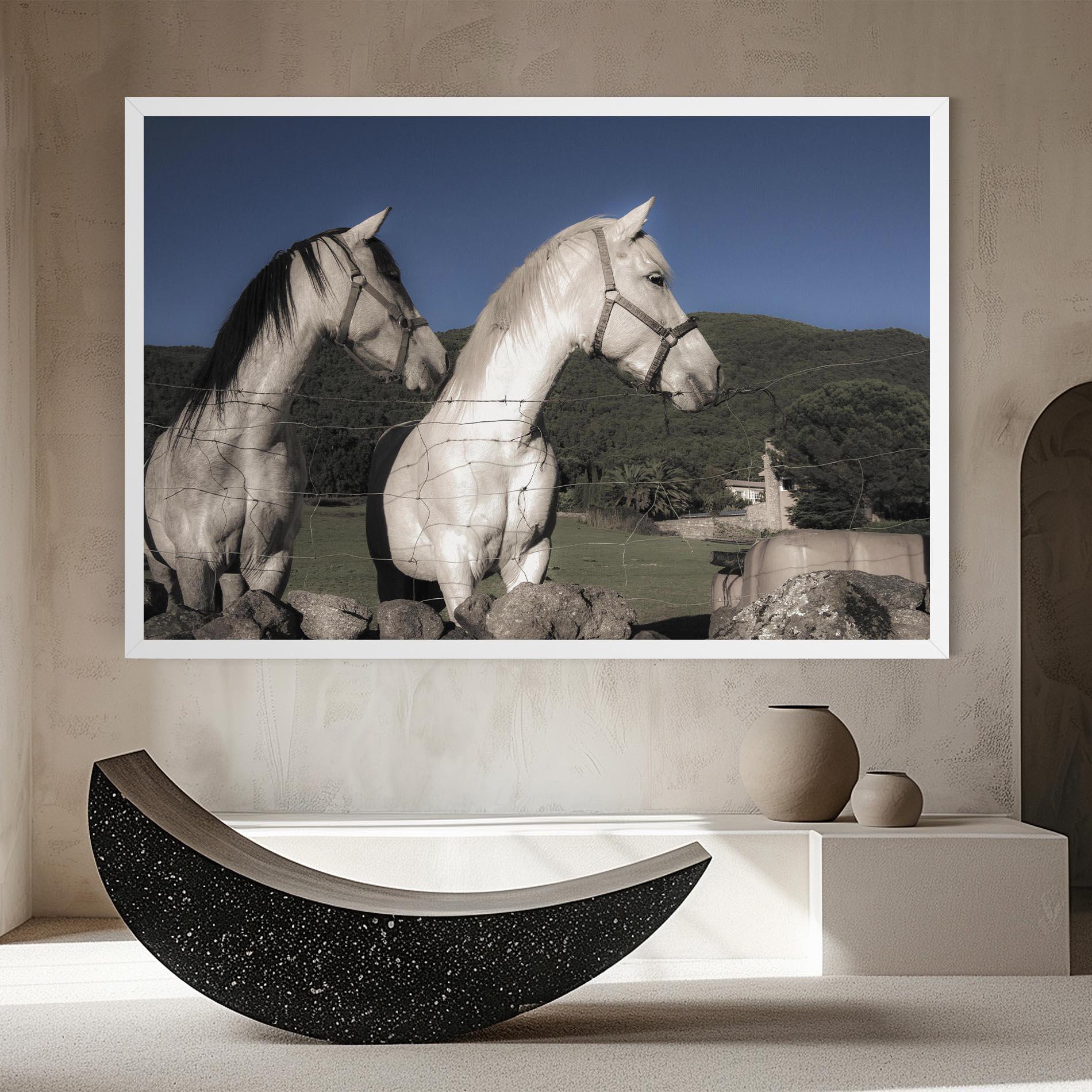 Vászonkép White Grey Horse mockup 8