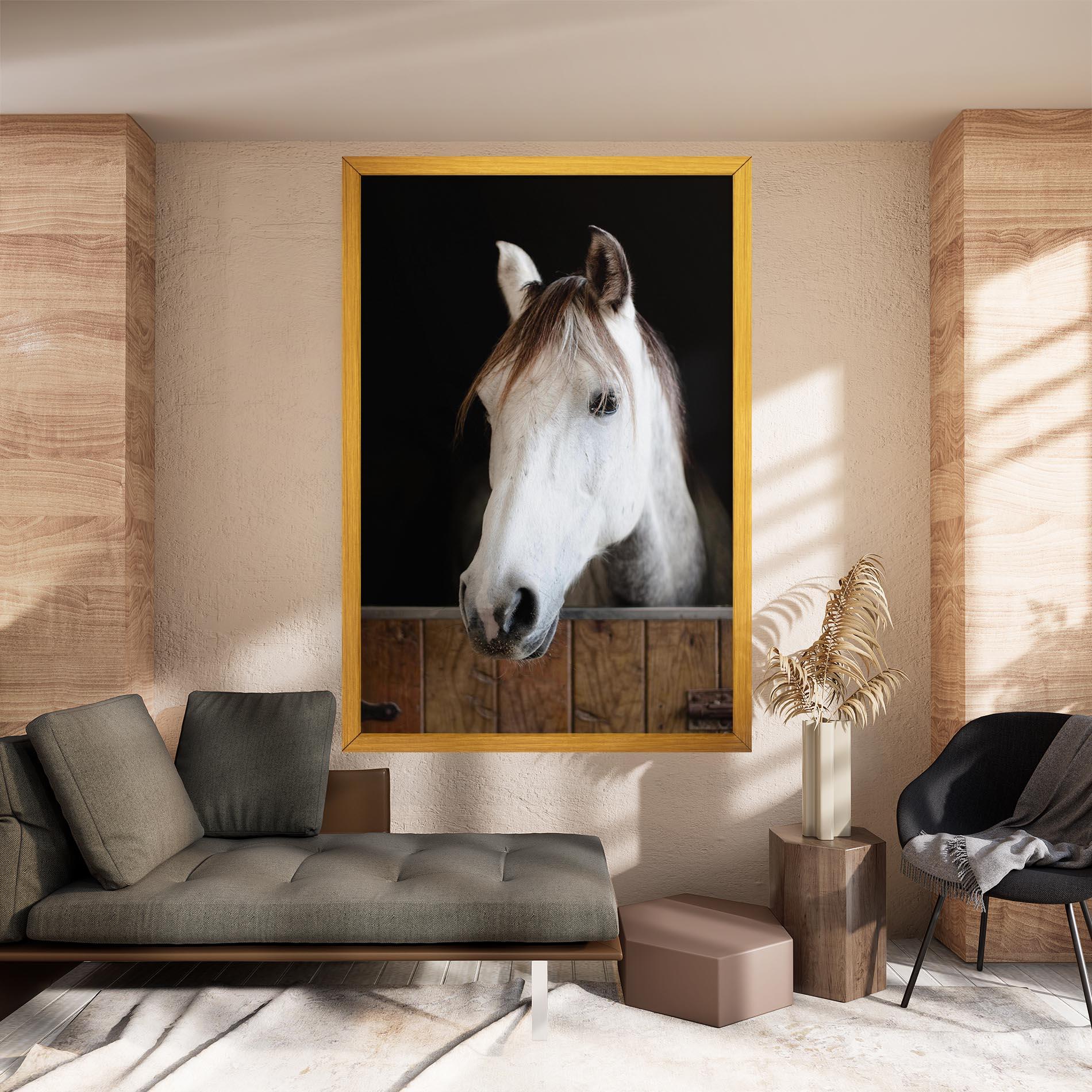 Vászonkép Grey Horse Head mockup 8