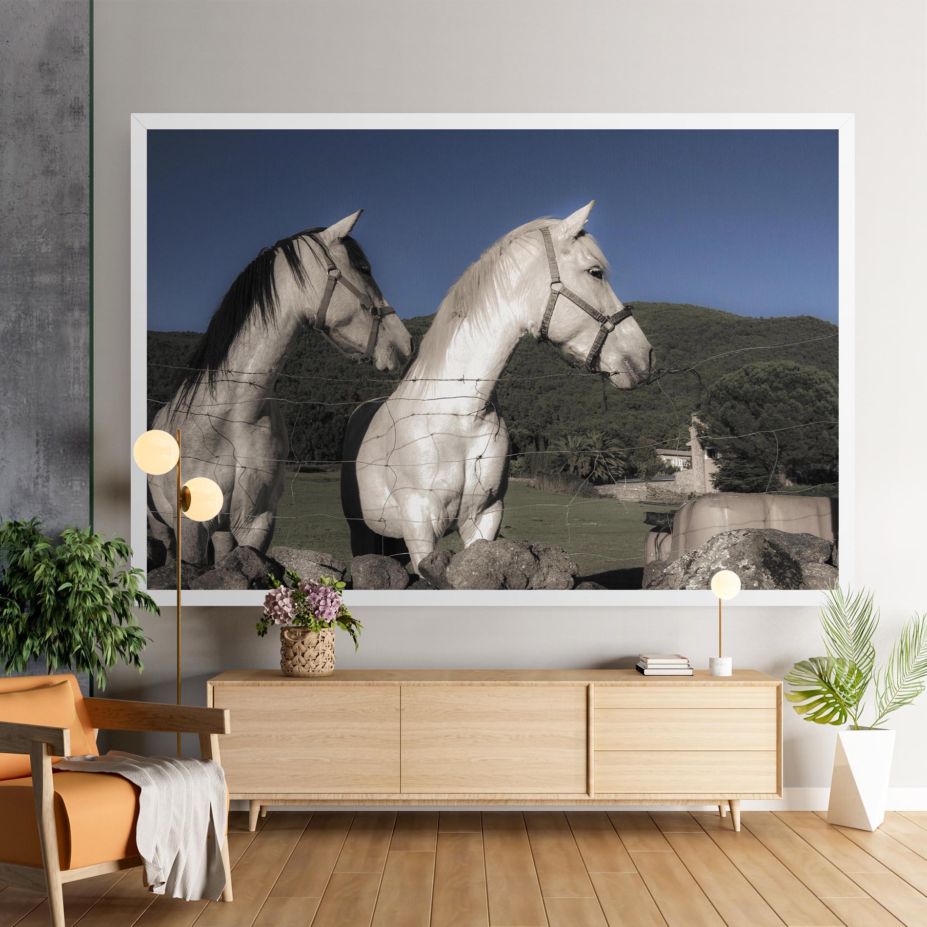 Vászonkép White Grey Horse mockup 9
