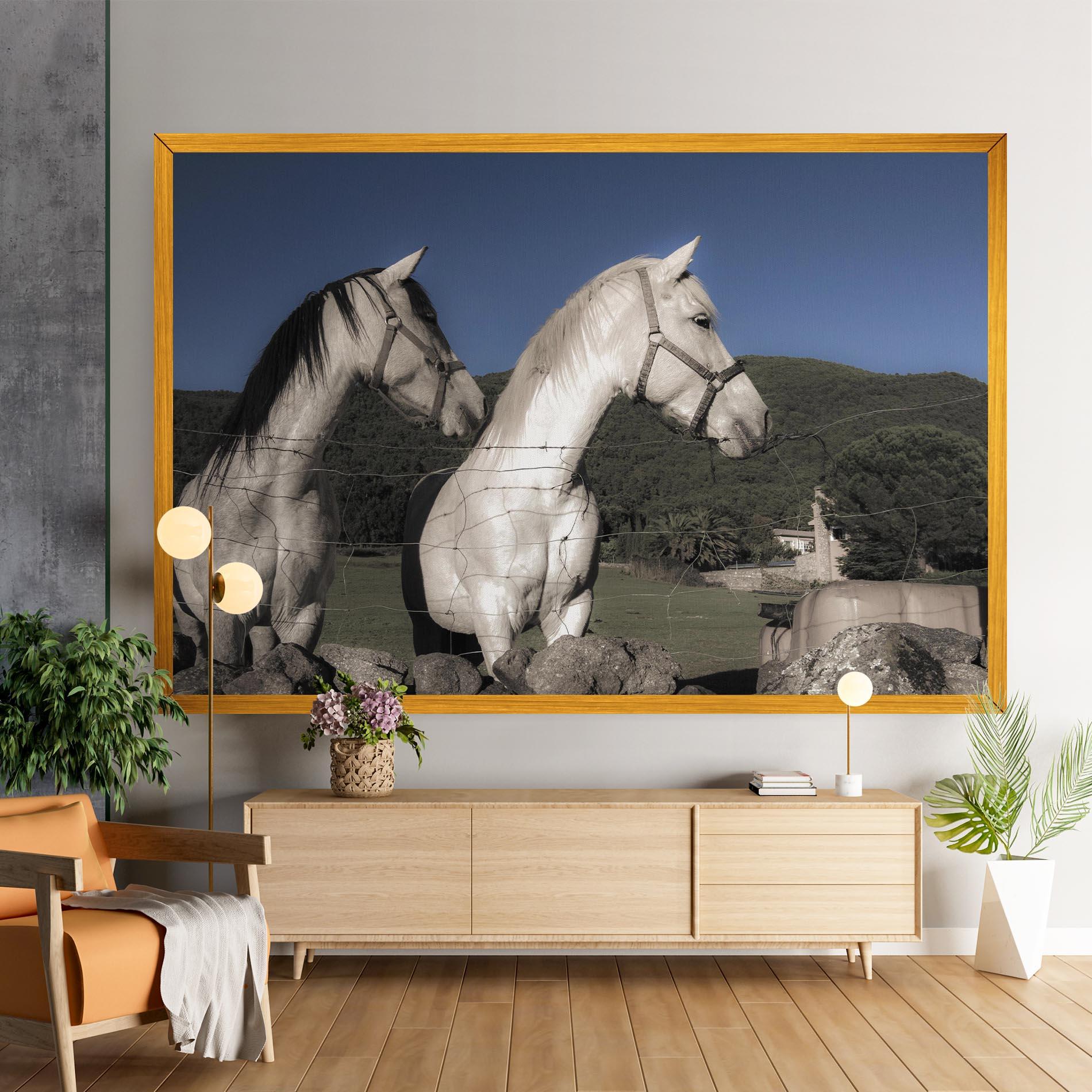 Vászonkép White Grey Horse mockup 9