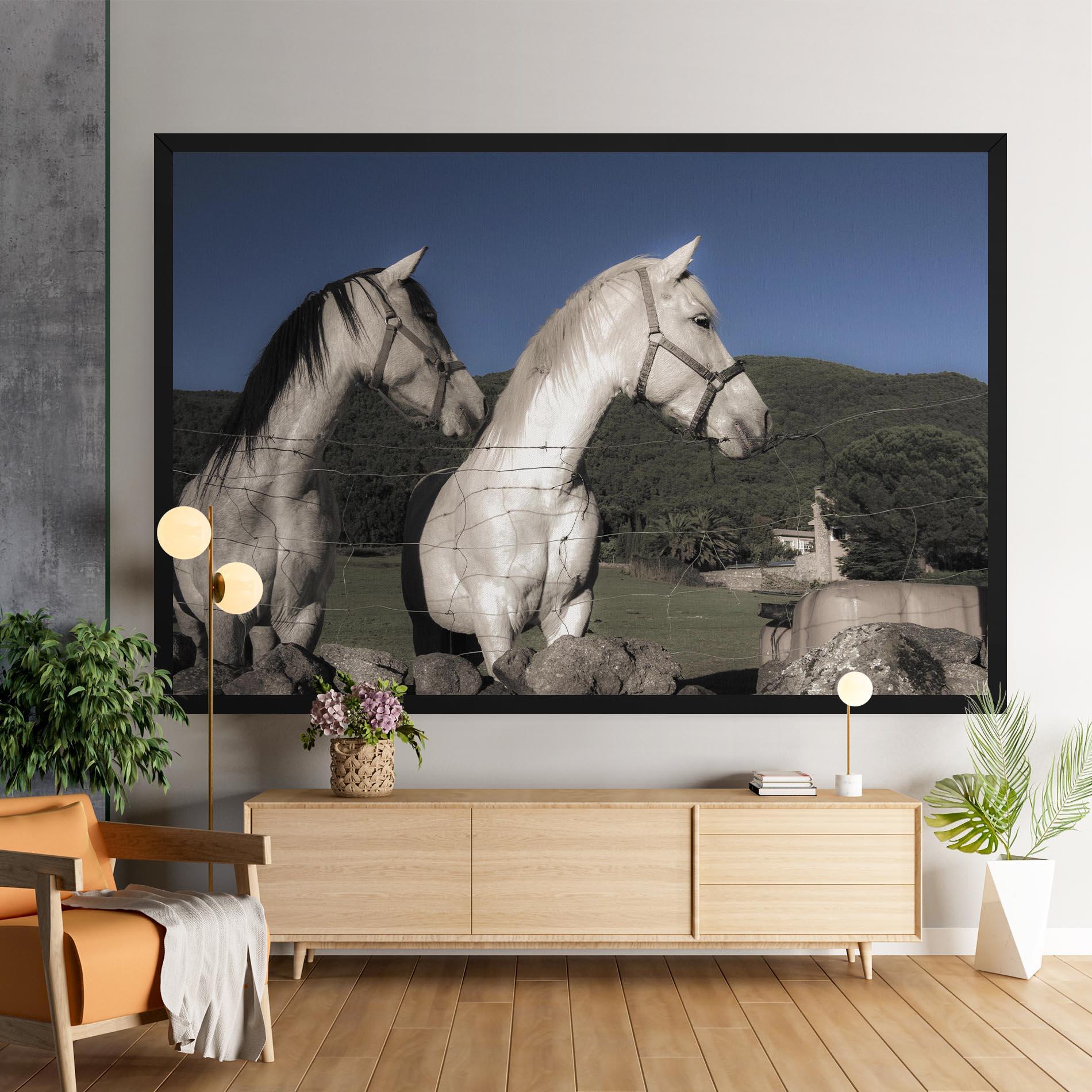 Vászonkép White Grey Horse mockup 9