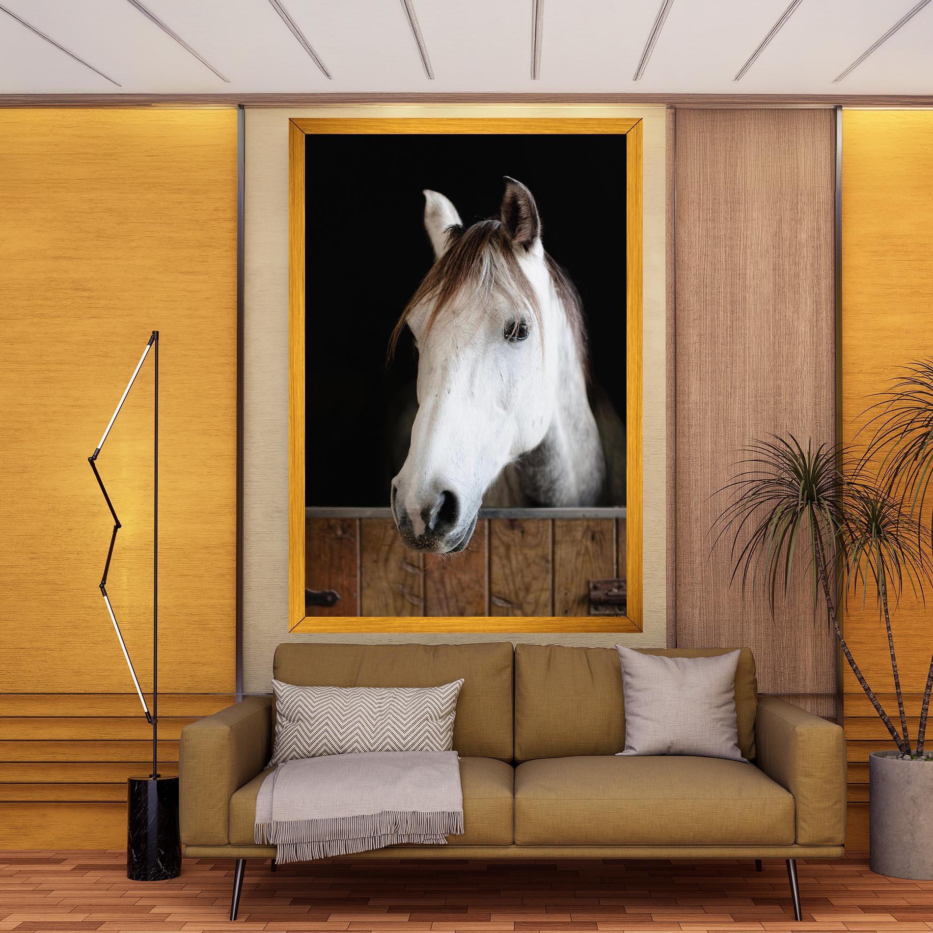 Vászonkép Grey Horse Head mockup 9