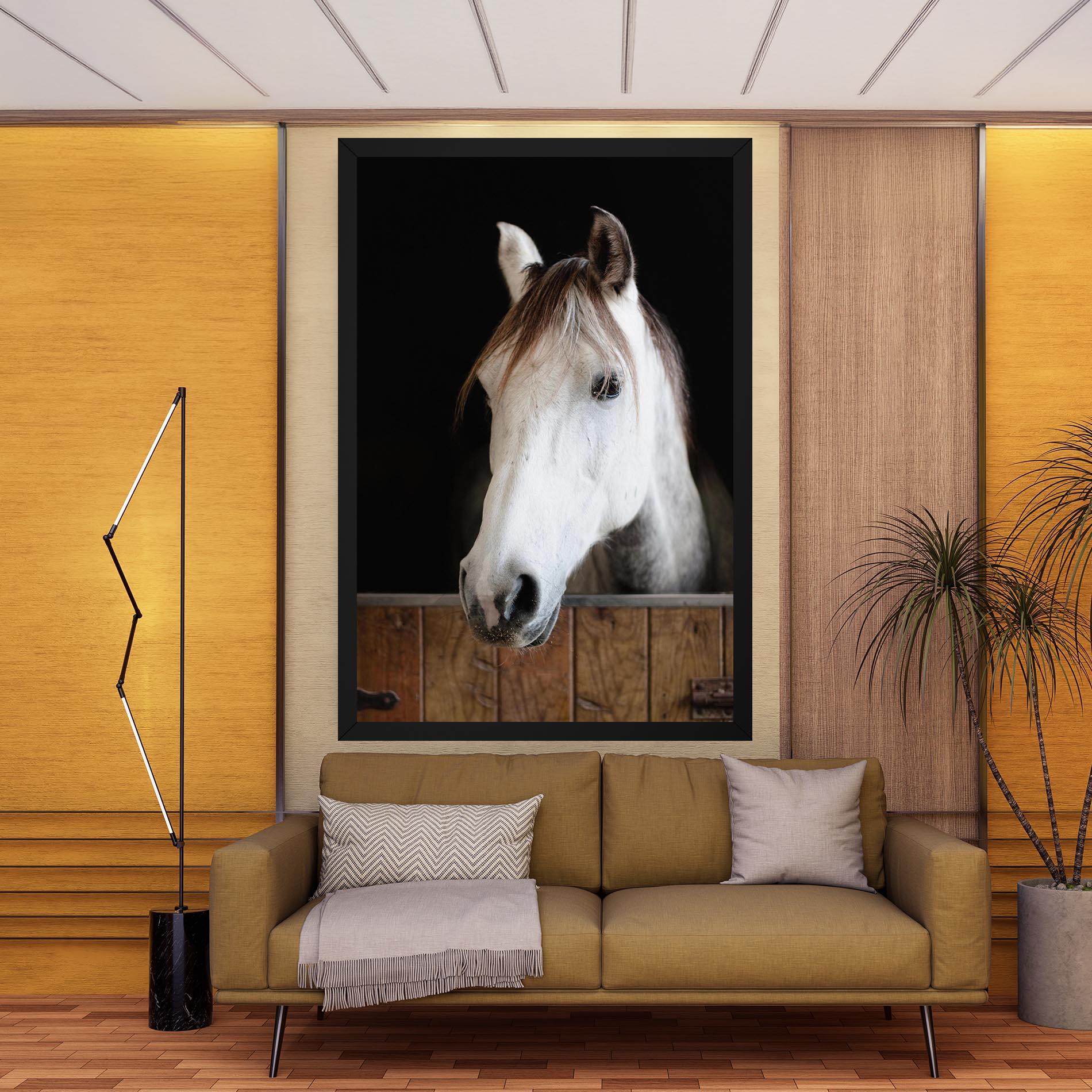 Vászonkép Grey Horse Head mockup 9