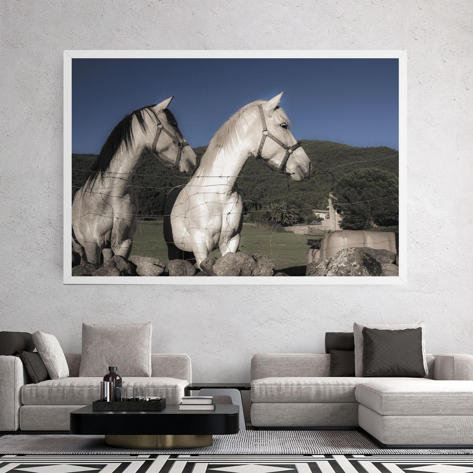 Vászonkép White Grey Horse mockup 2