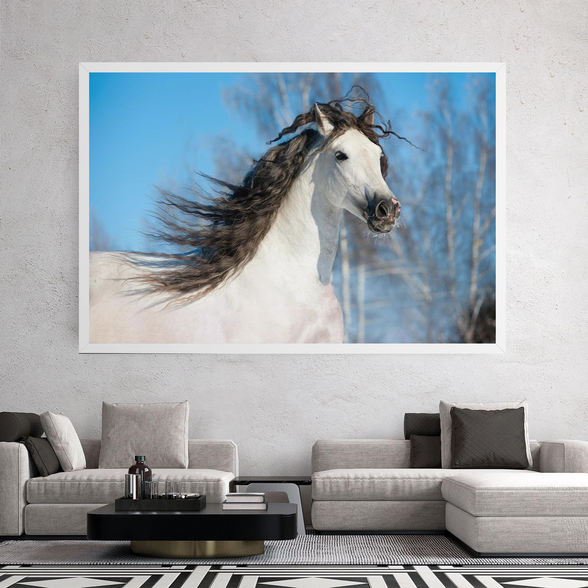 Vászonkép Wild Black Hair Horse mockup 2