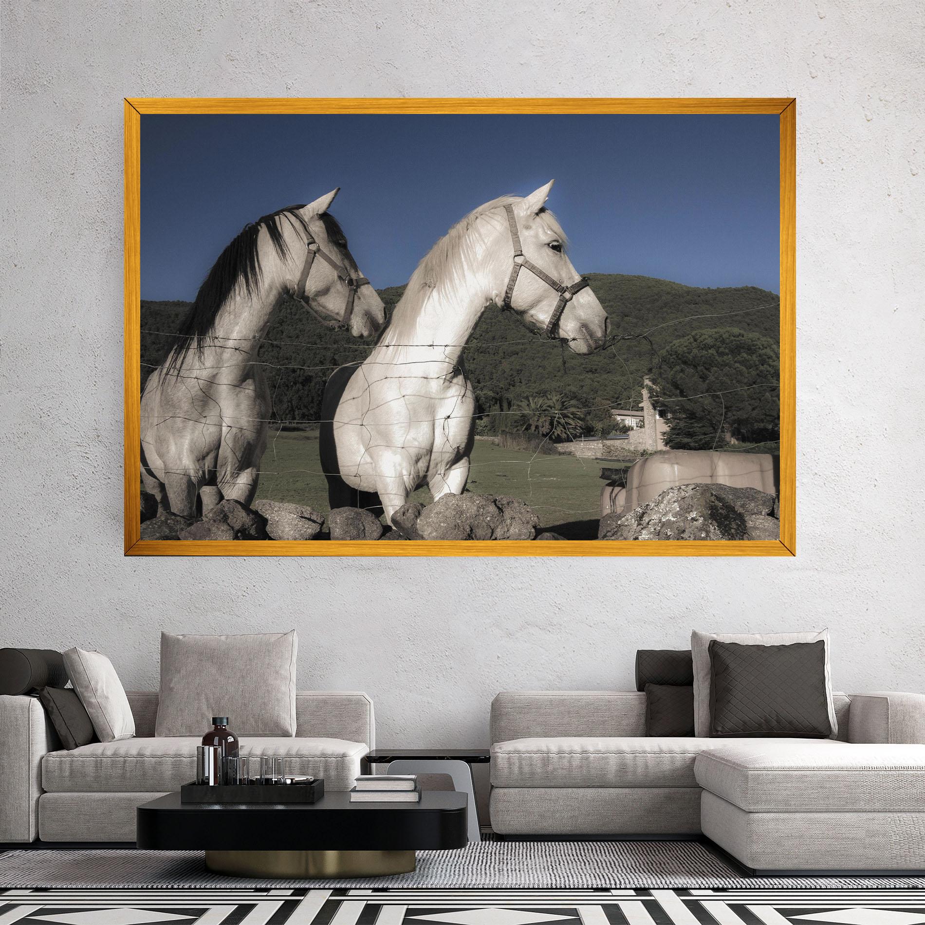 Vászonkép White Grey Horse mockup 2