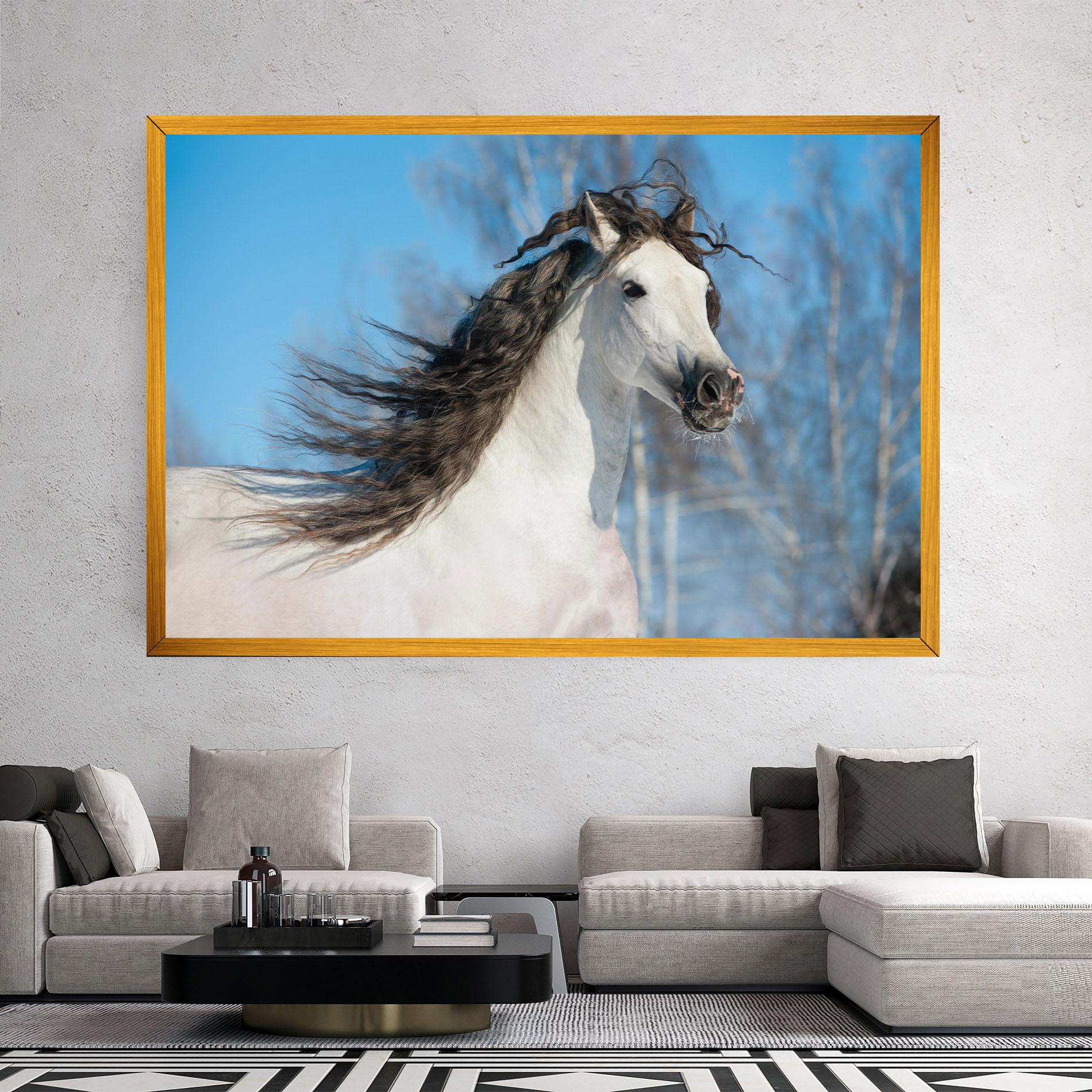 Vászonkép Wild Black Hair Horse mockup 2